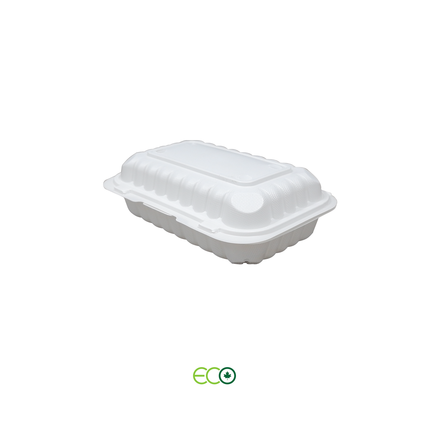 EG Rectangular PP Hinged Container