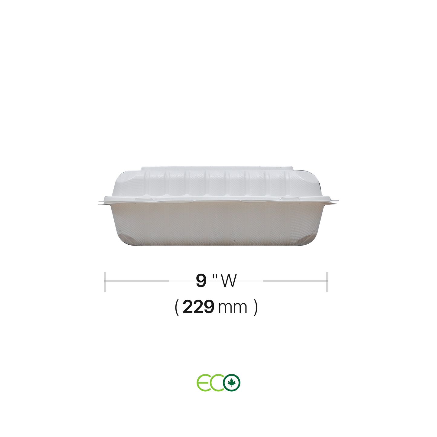 EG Rectangular PP Hinged Container