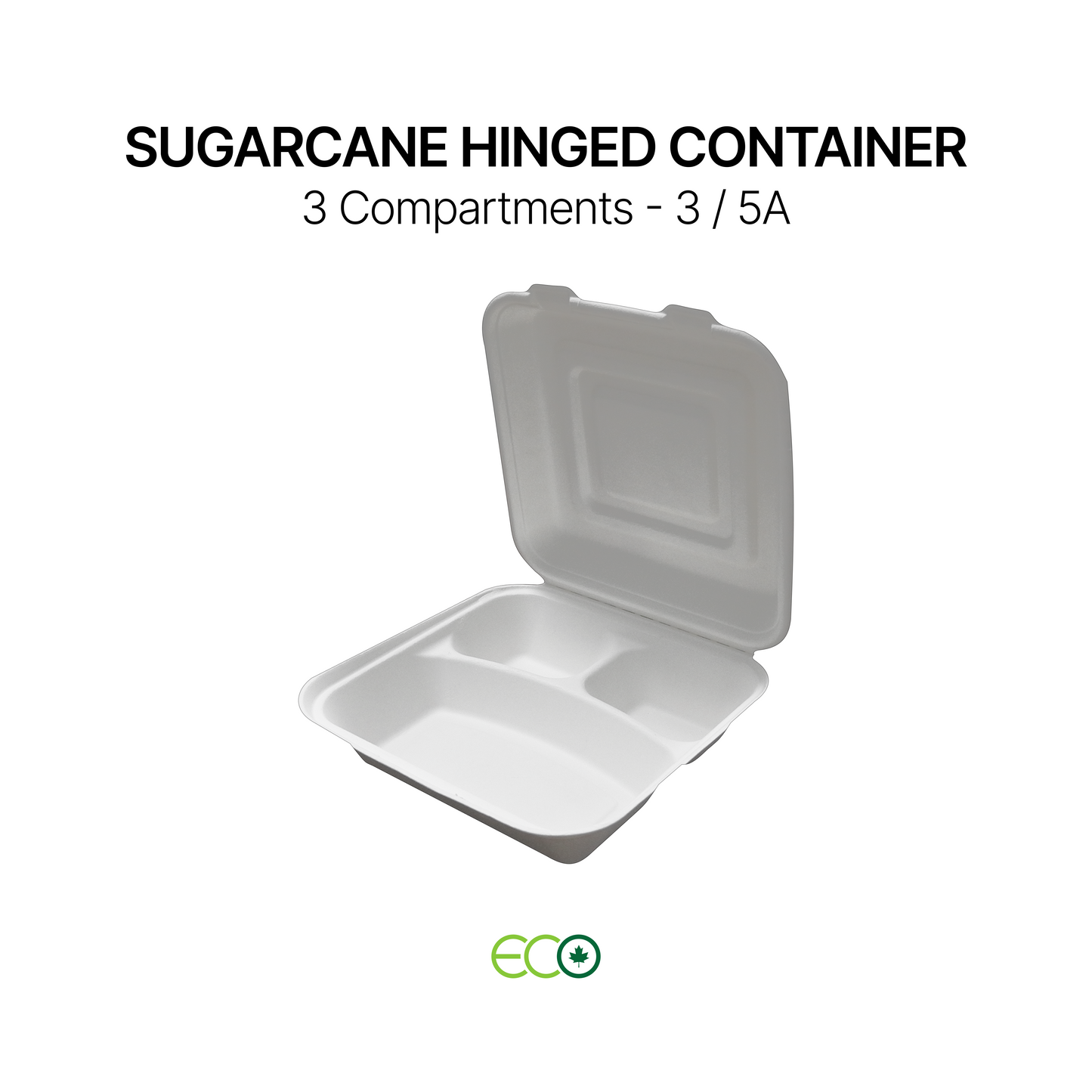 FSTP Sugarcane Hinged Container (5 Sizes)