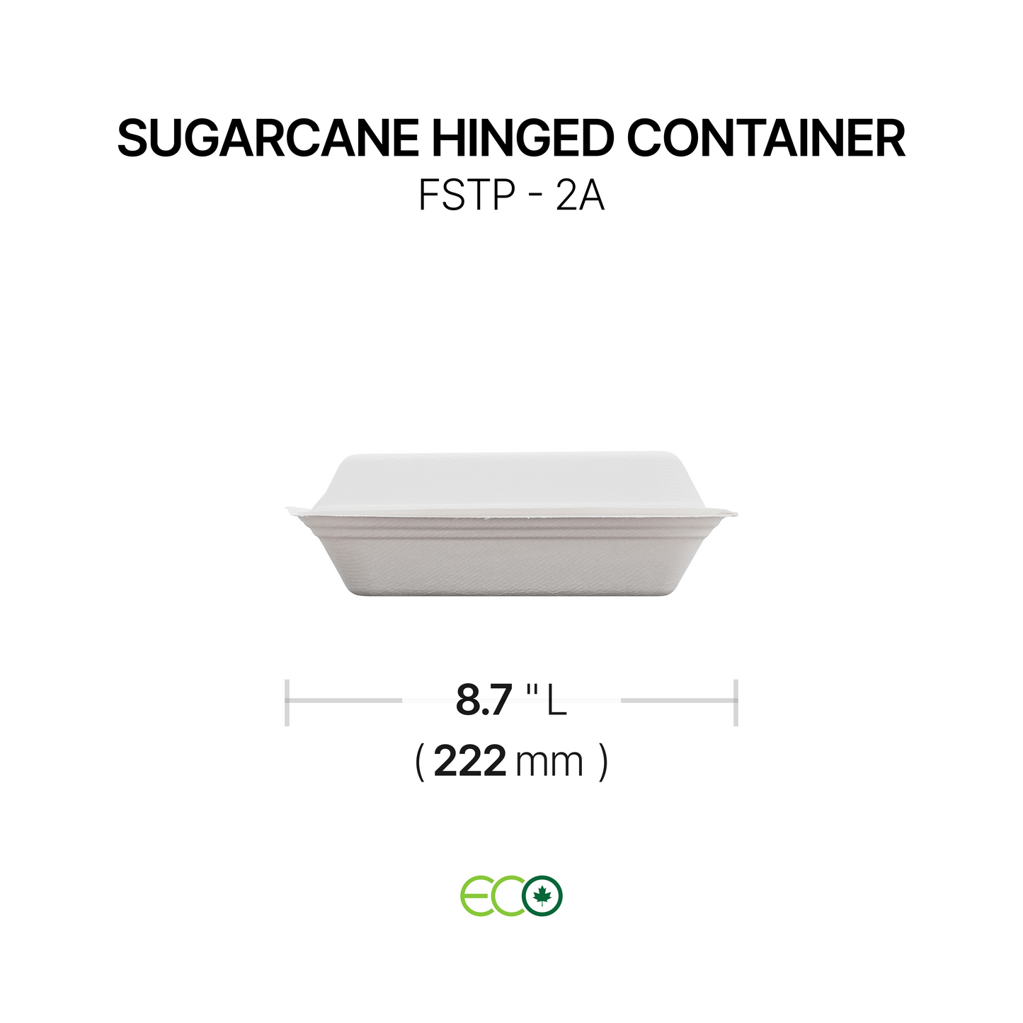 FSTP Sugarcane Hinged Container (5 Sizes)