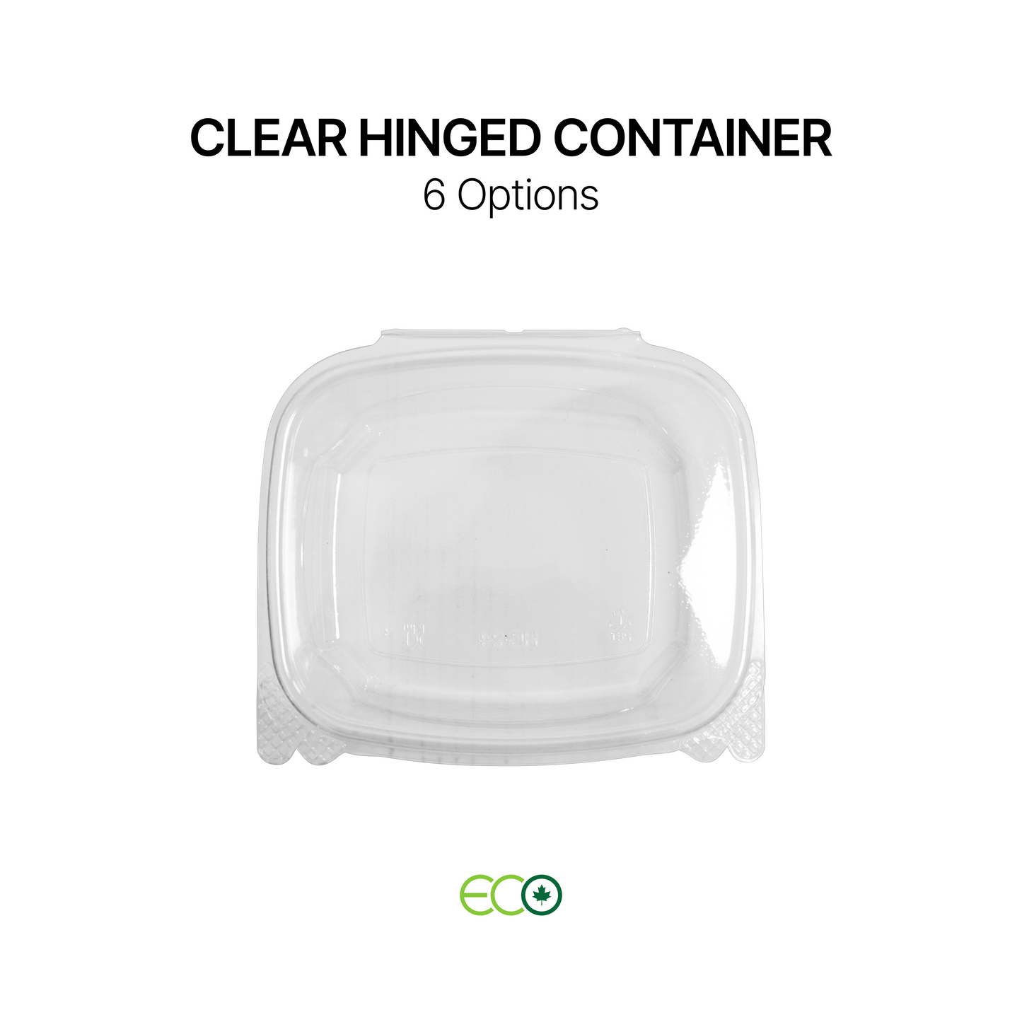 Hinged Container with Lock (6 Options)