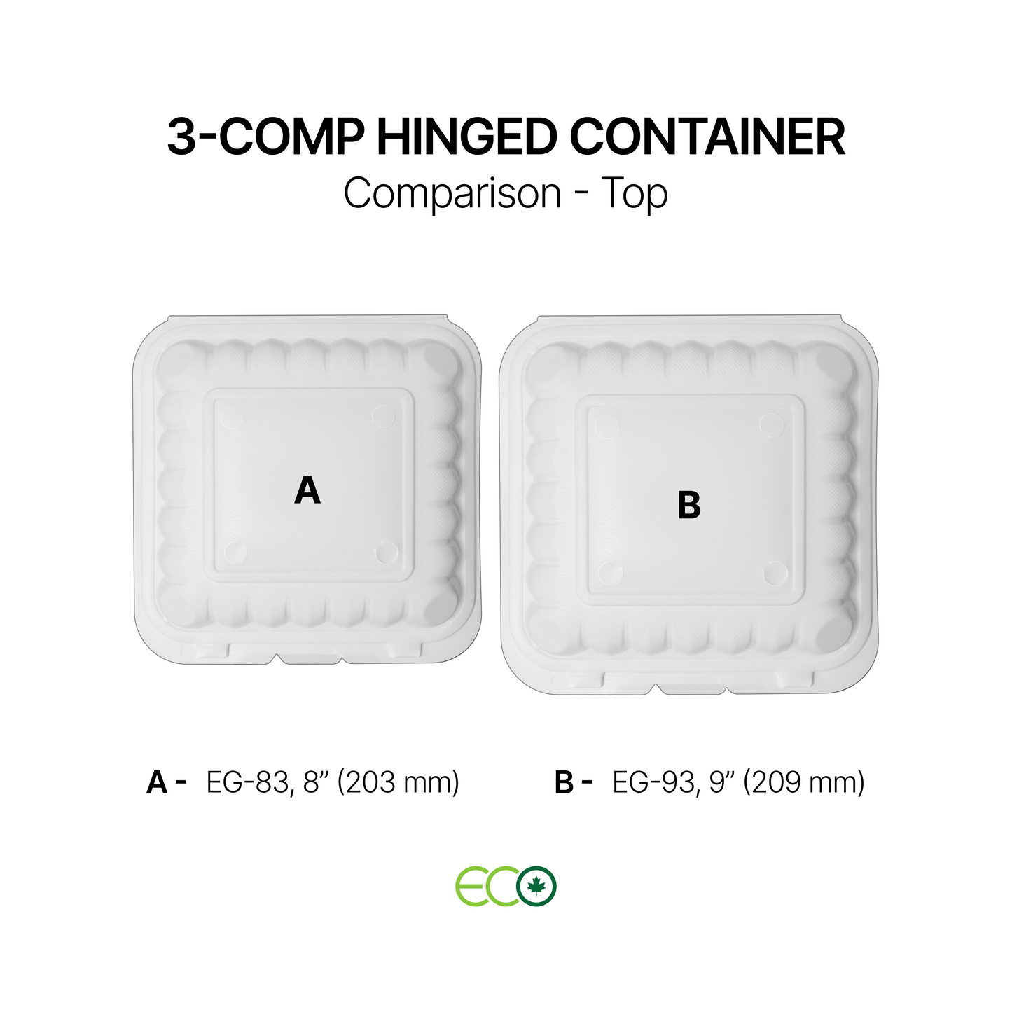 EG 3-Comp PP Hinged Container (8" / 9")