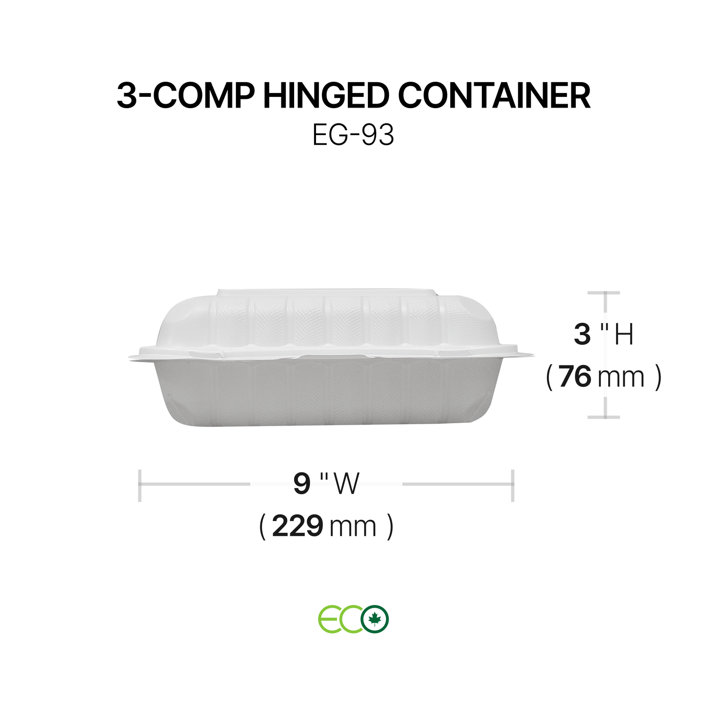 EG 3-Comp PP Hinged Container (8" / 9")