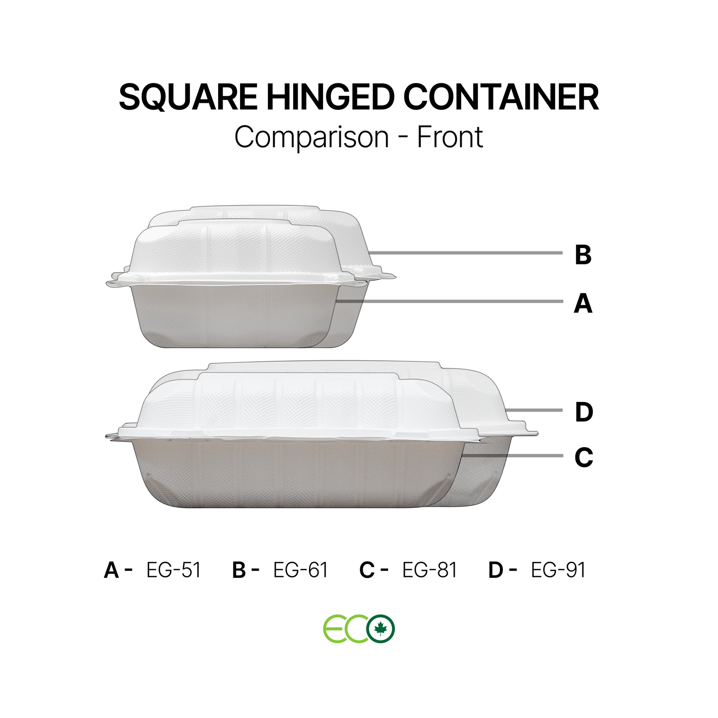 EG Square PP Hinged Container (4 Sizes)