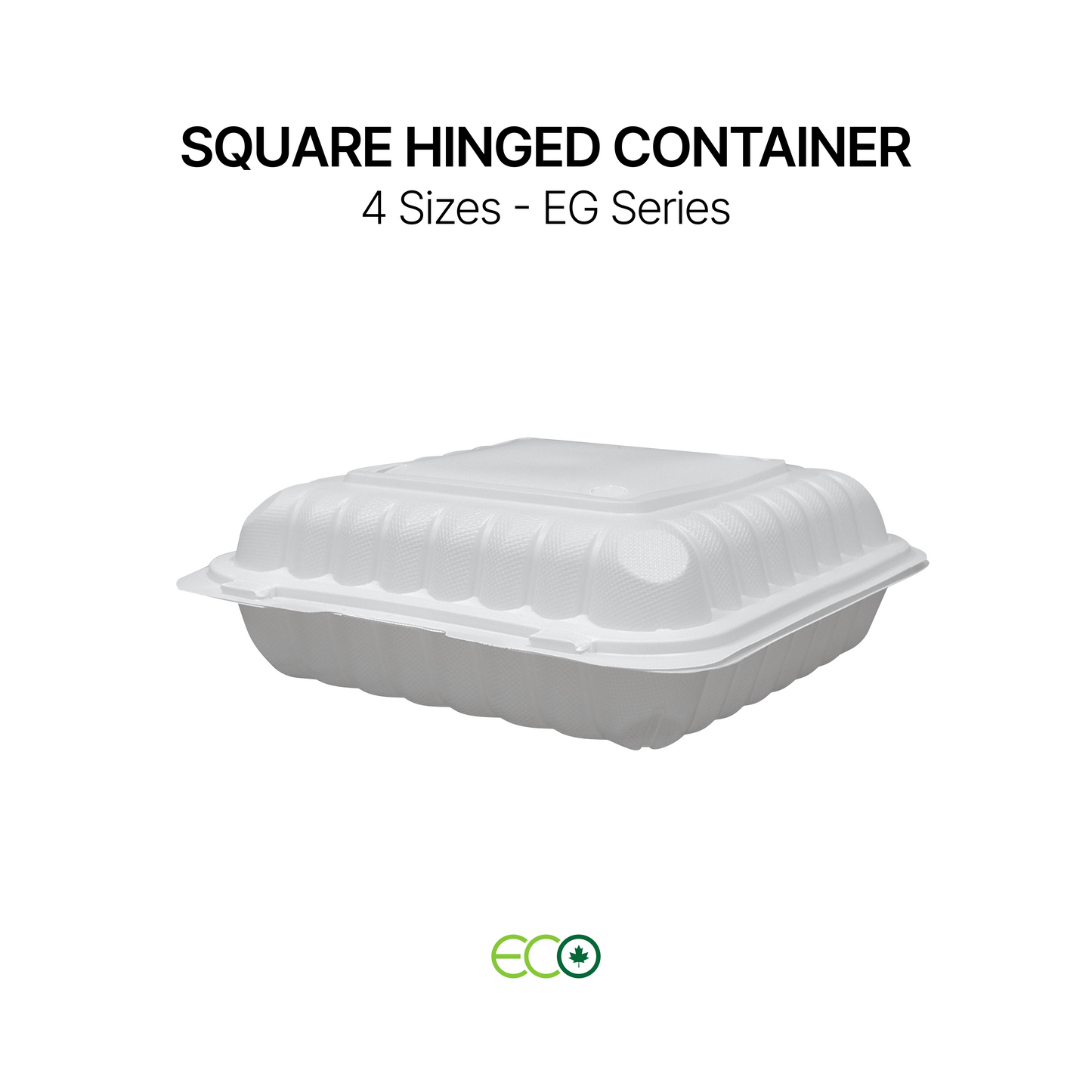 EG Square PP Hinged Container (4 Sizes)