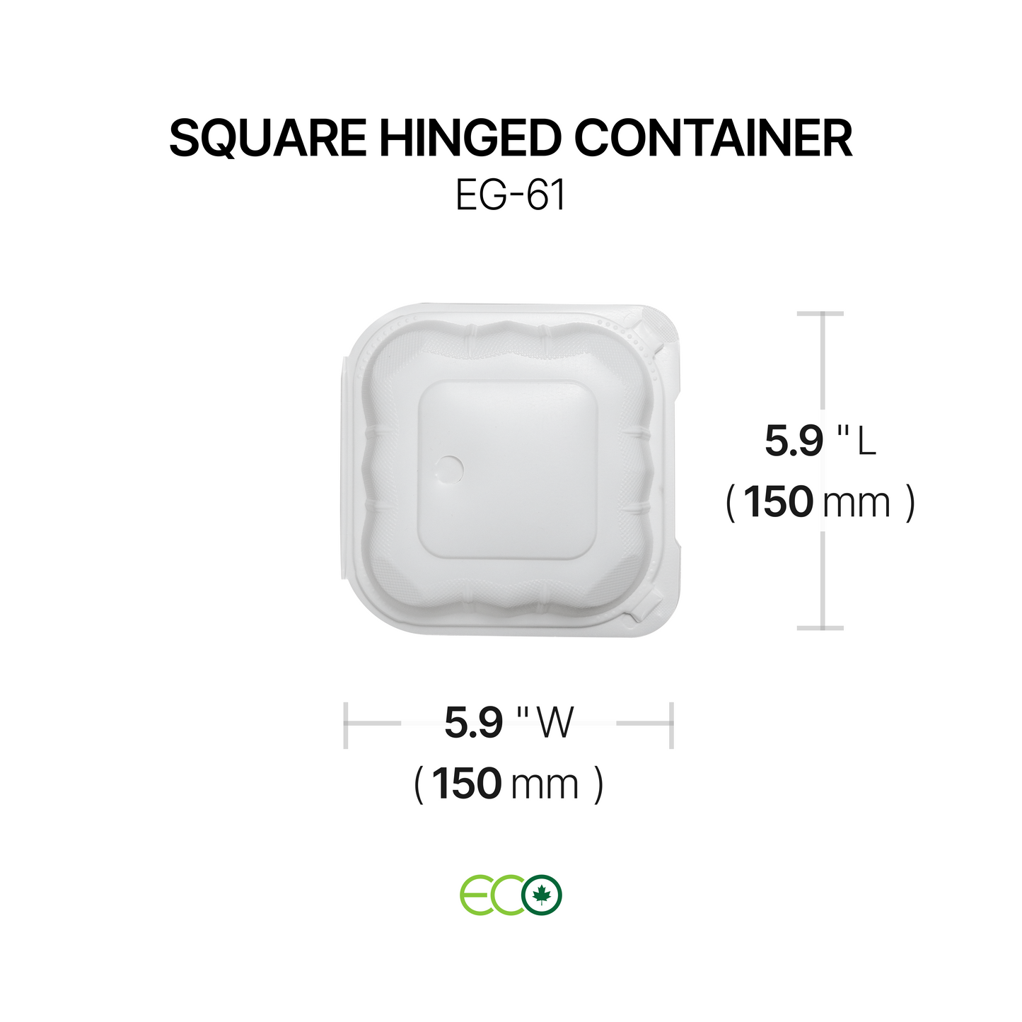 EG Square PP Hinged Container (4 Sizes)