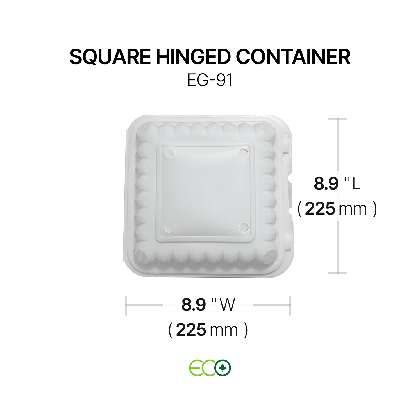 EG Square PP Hinged Container (4 Sizes)