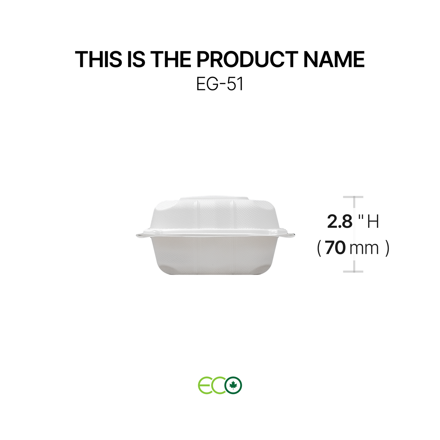EG Square PP Hinged Container (4 Sizes)