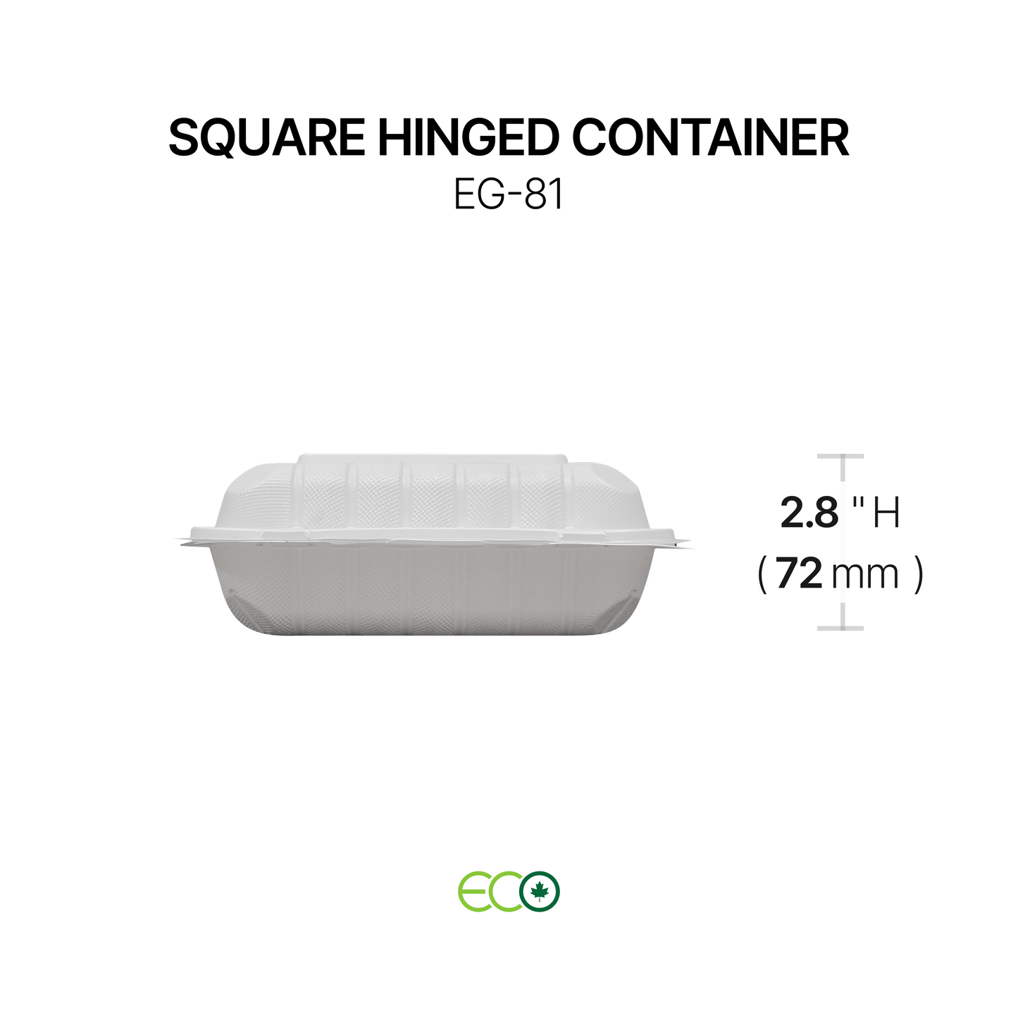 EG Square PP Hinged Container (4 Sizes)