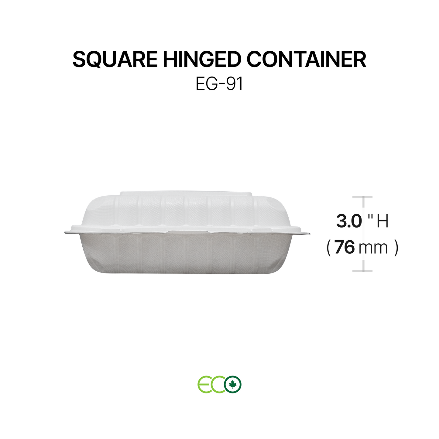 EG Square PP Hinged Container (4 Sizes)