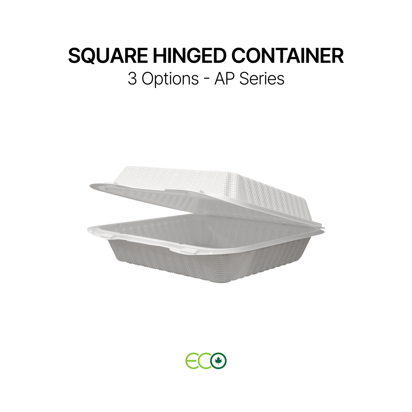 AP Square Hinged Container (6" / 8" / 9")