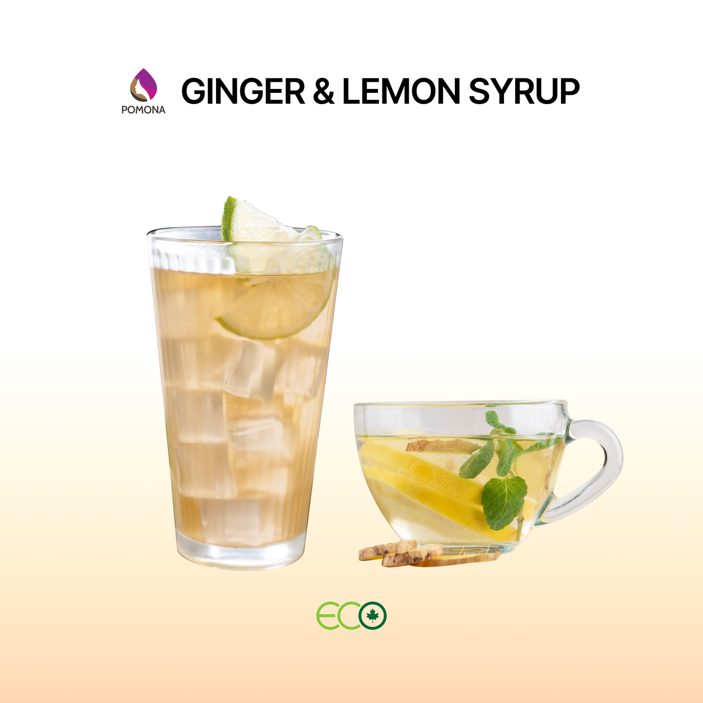 믹솔로지 진저 & 레몬 시럽