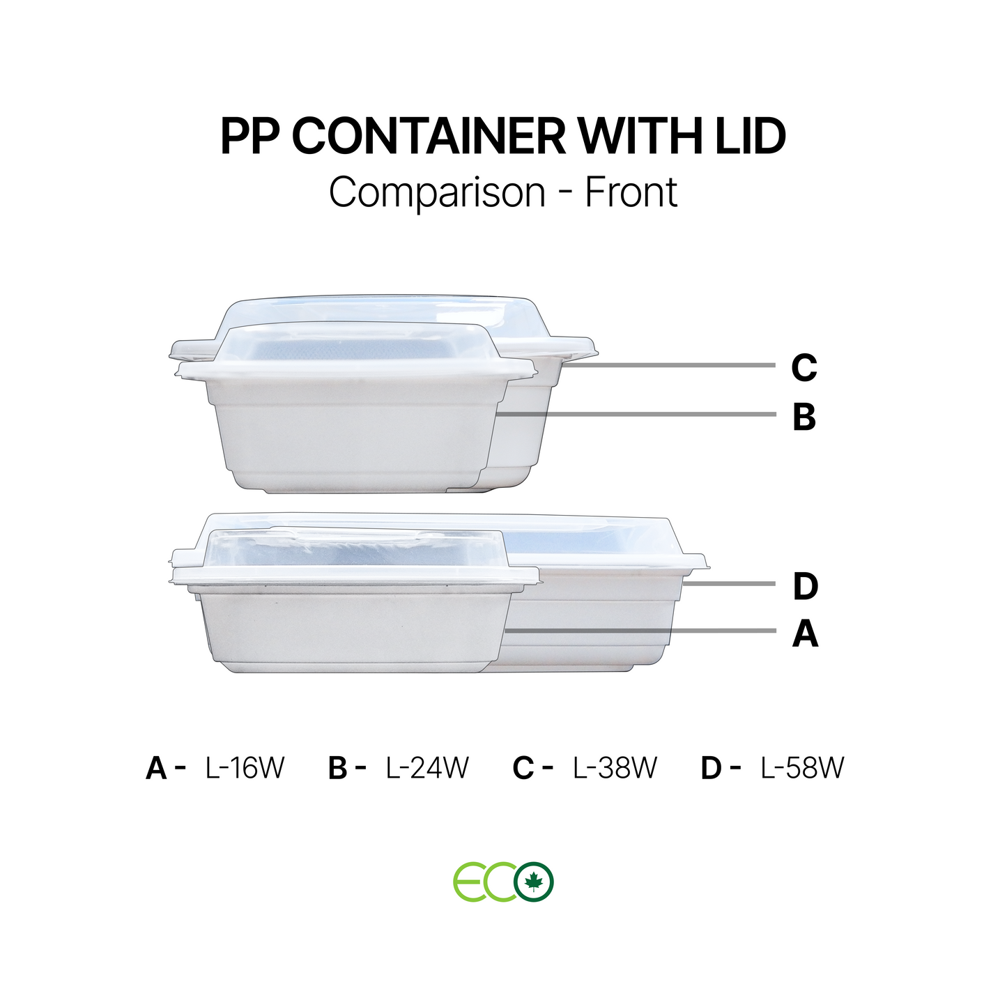 PP Container with Lid (4 Sizes)