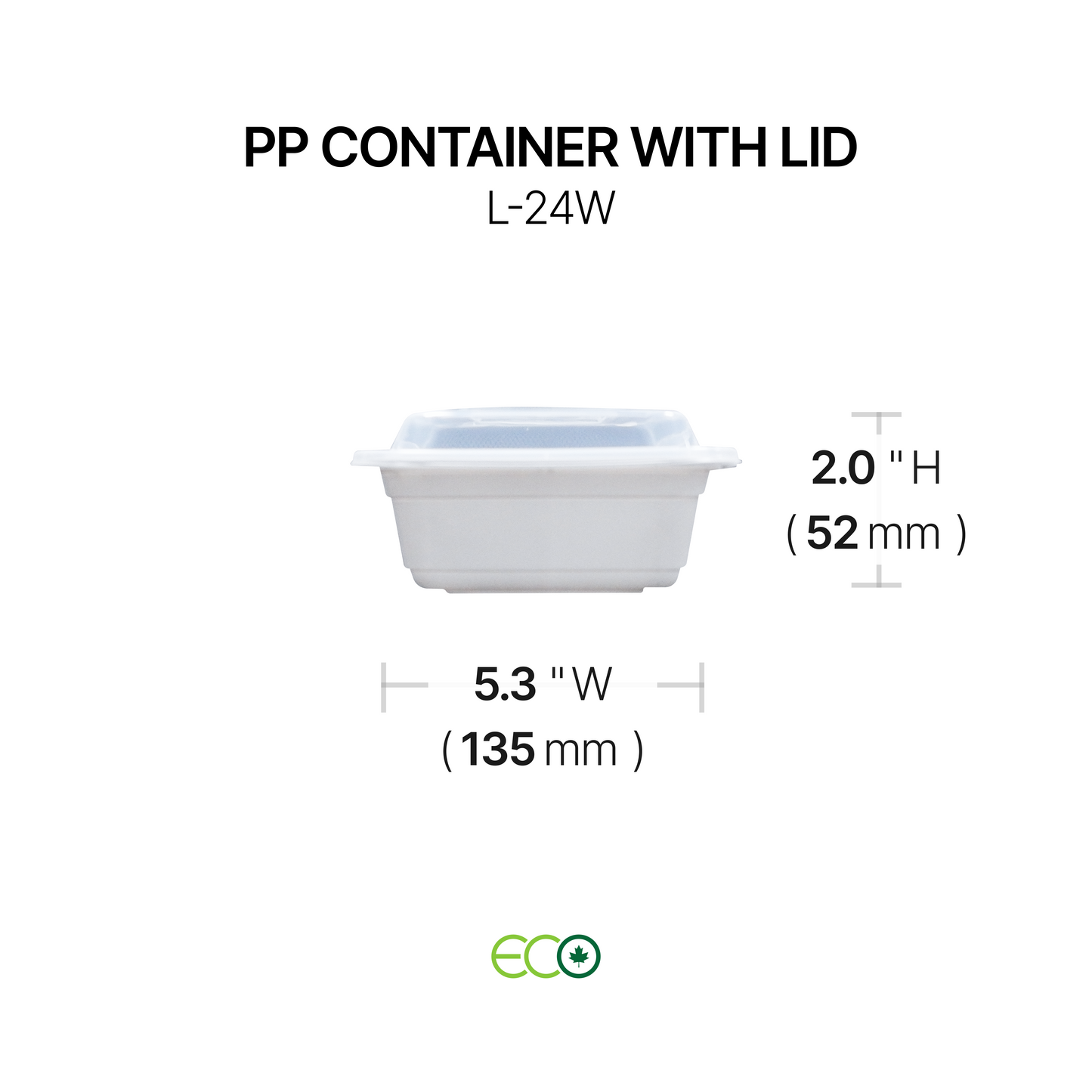 PP Container with Lid (4 Sizes)