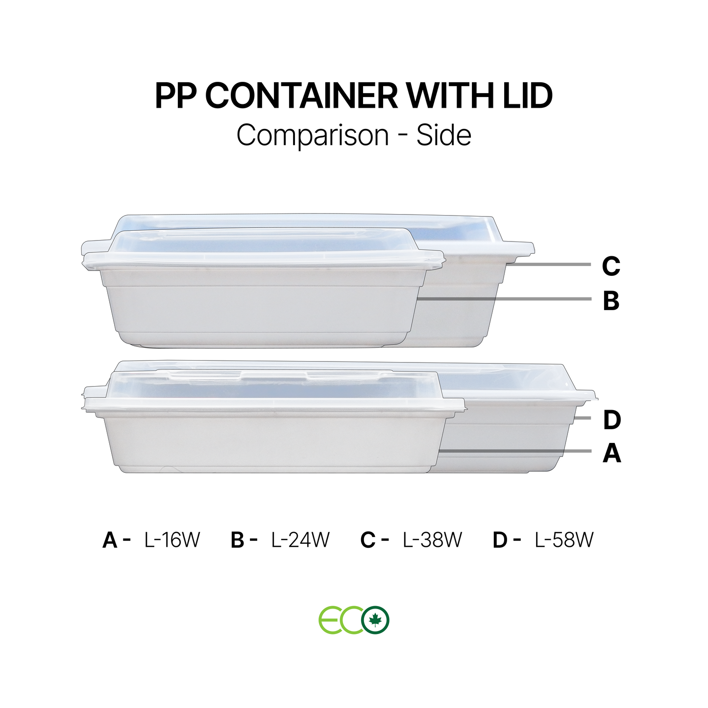PP Container with Lid (4 Sizes)