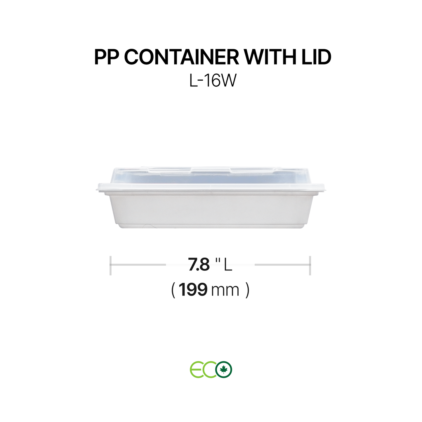PP Container with Lid (4 Sizes)