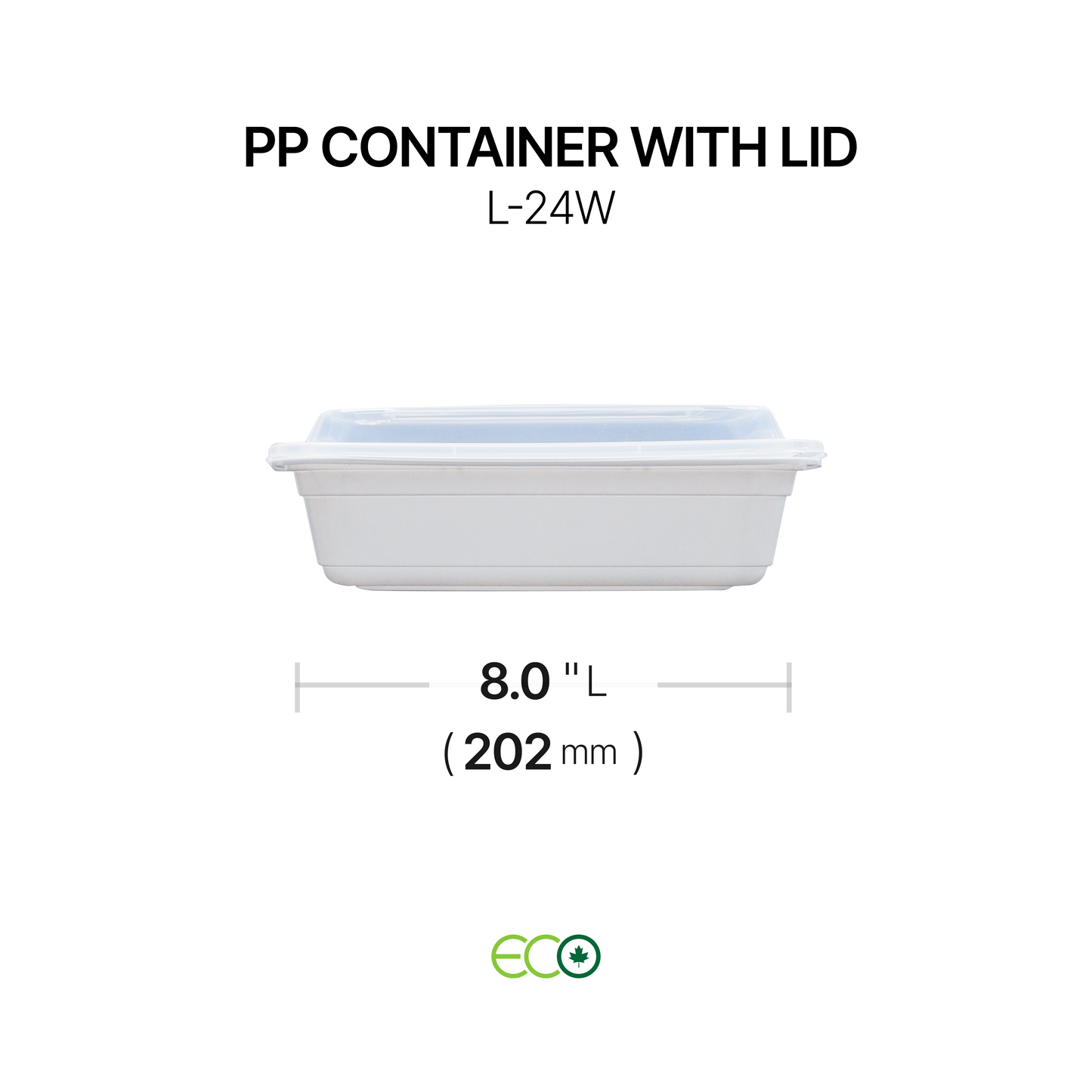 PP Container with Lid (4 Sizes)