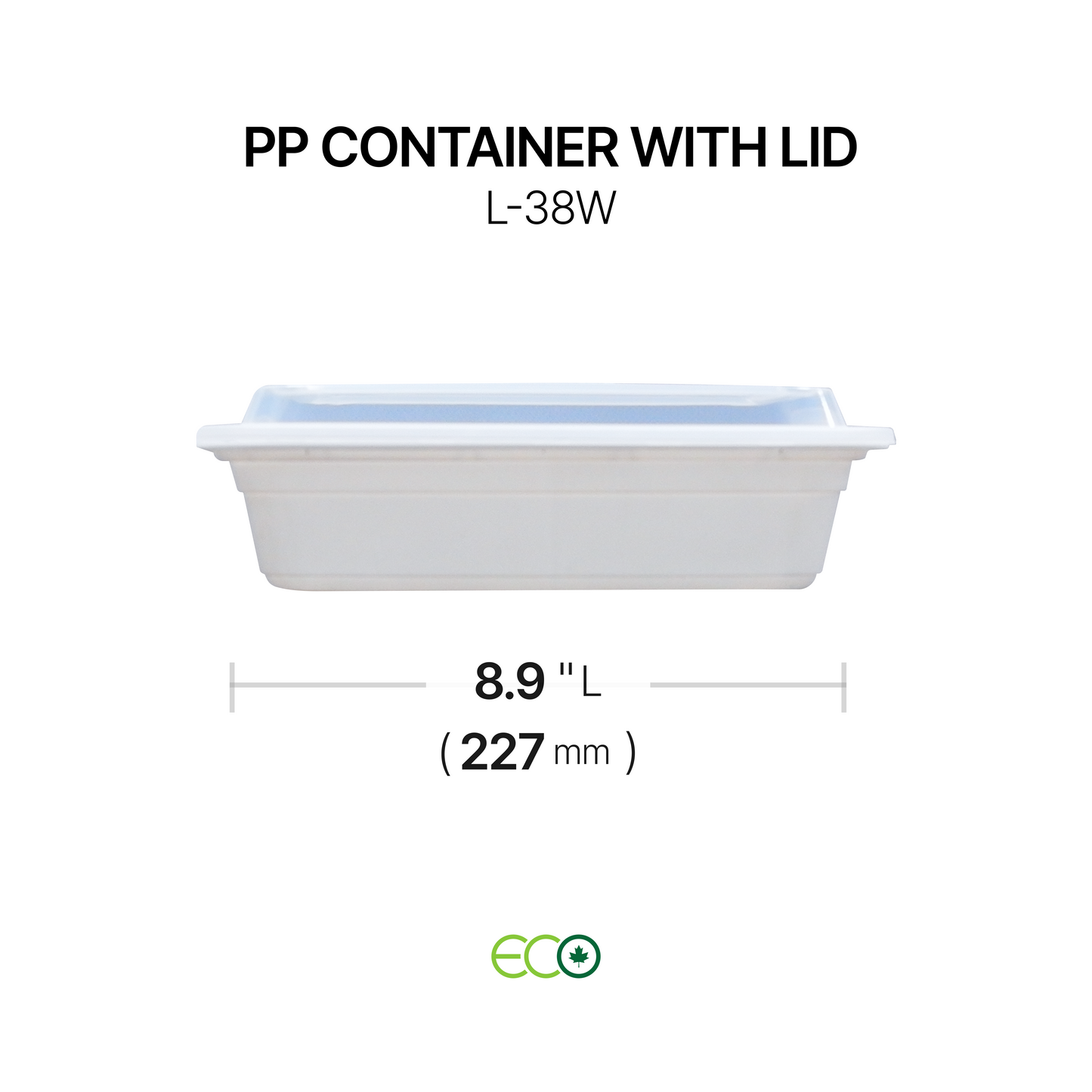PP Container with Lid (4 Sizes)