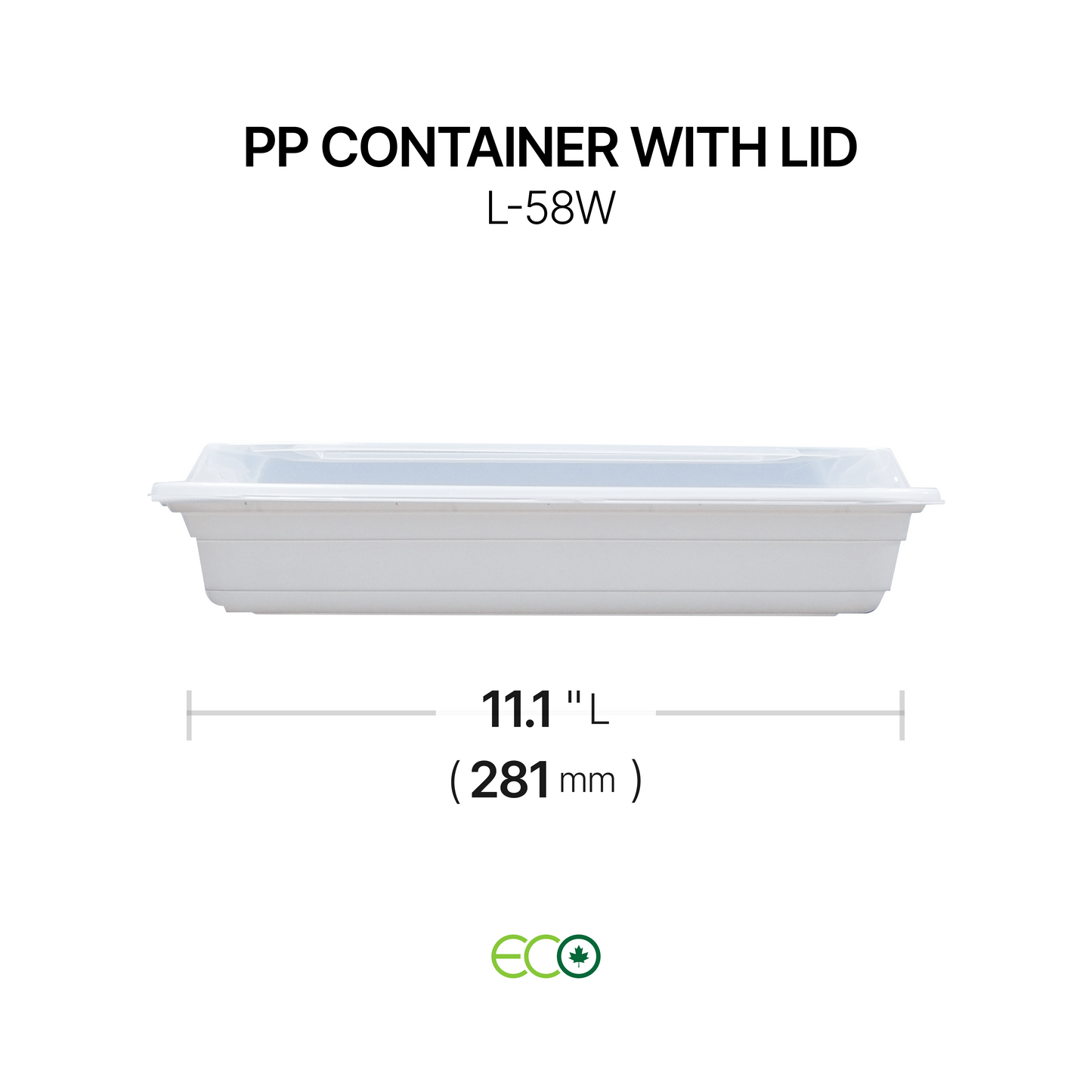 PP Container with Lid (4 Sizes)