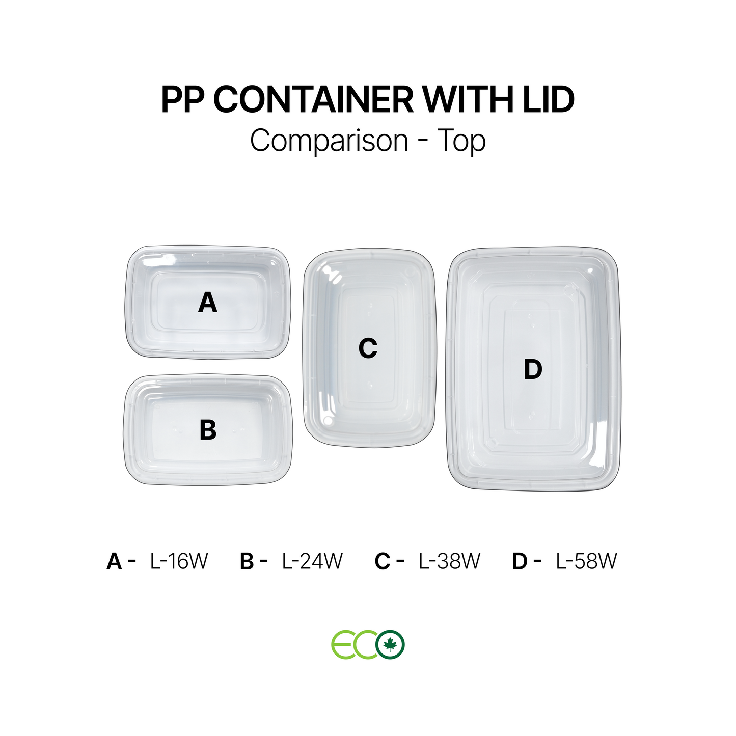 PP Container with Lid (4 Sizes)