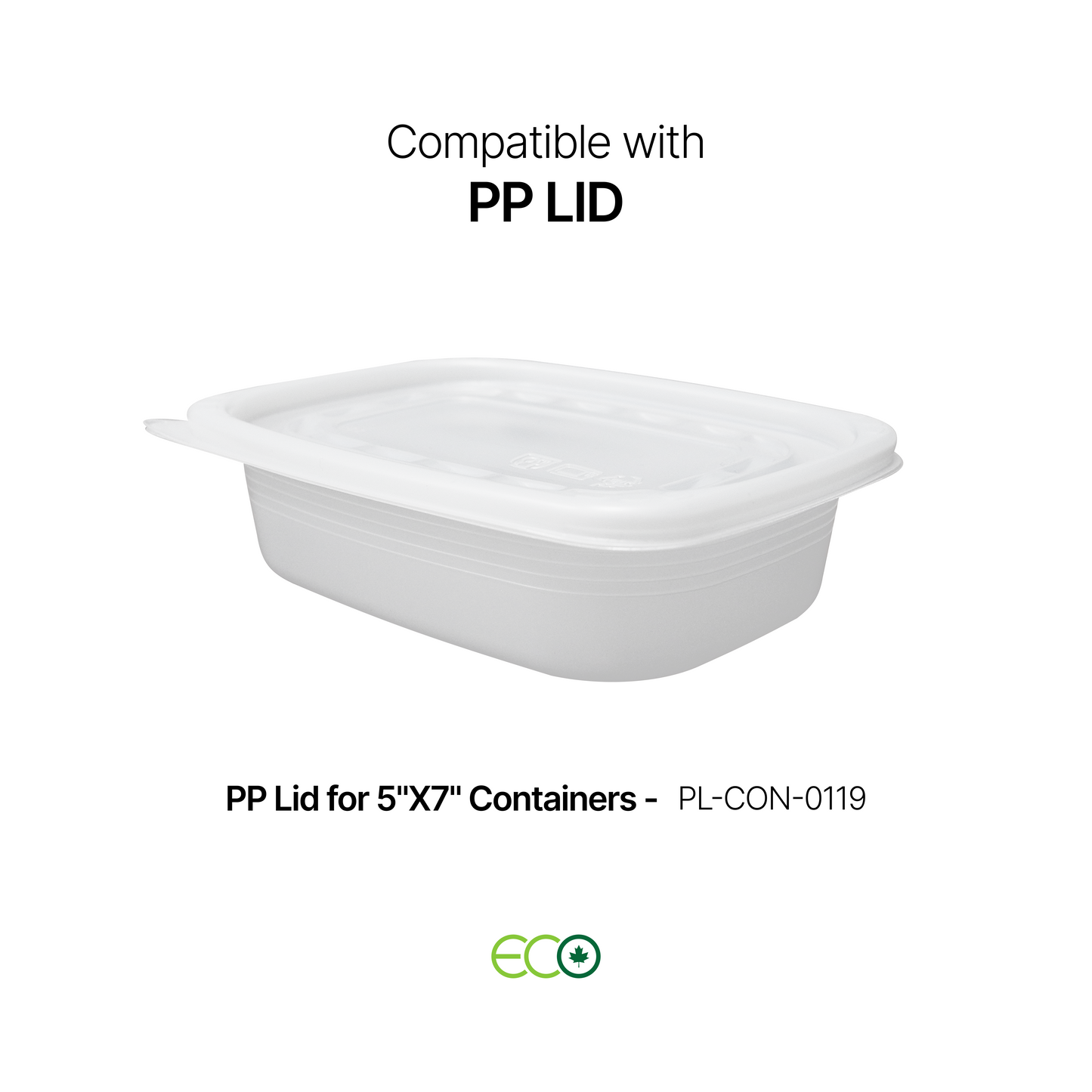 5"X7" Plastic Container (S / M / L / XL)