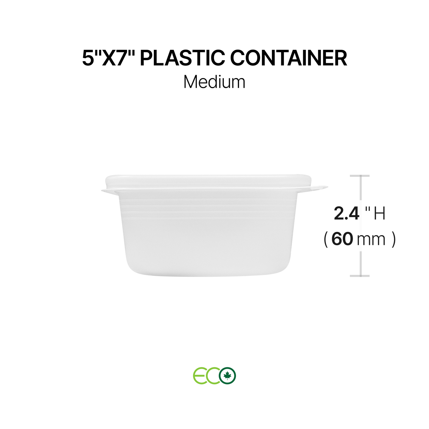 5"X7" Plastic Container (S / M / L / XL)