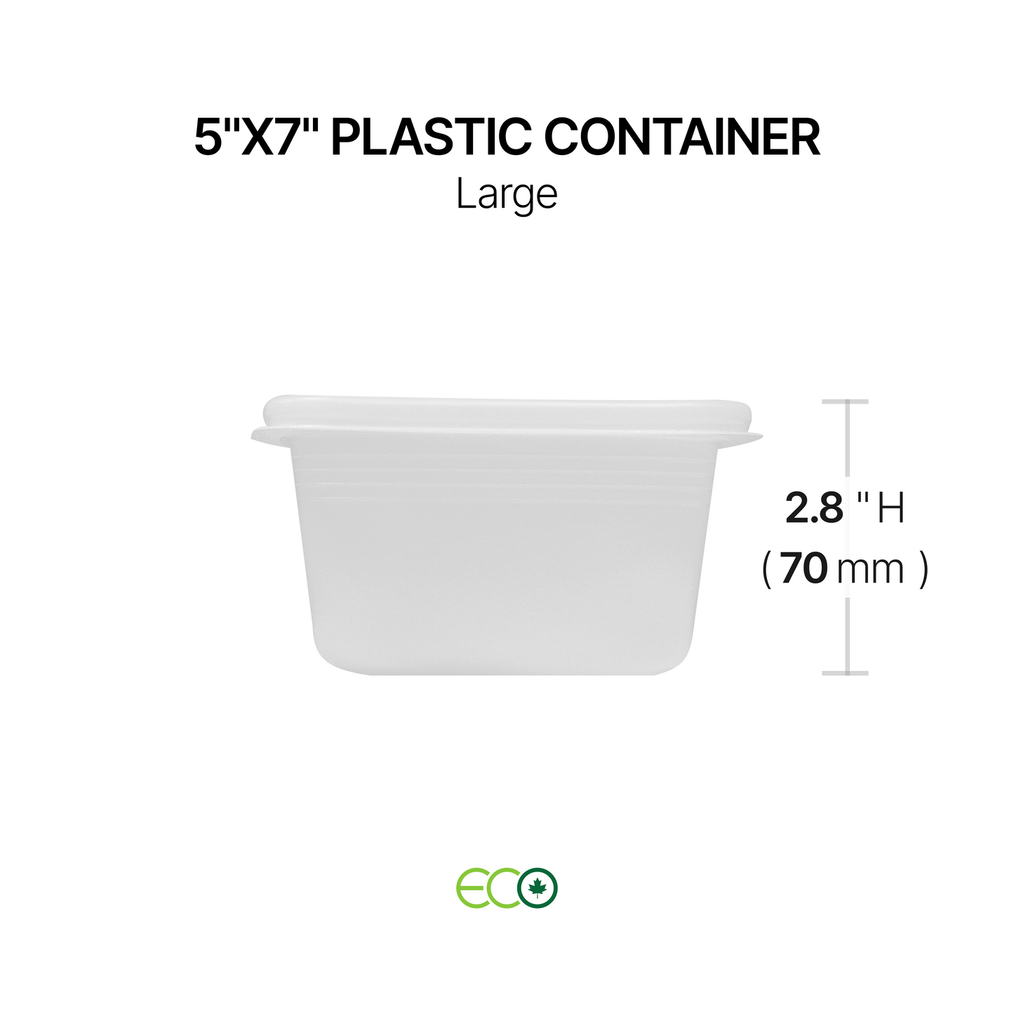 5"X7" Plastic Container (S / M / L / XL)