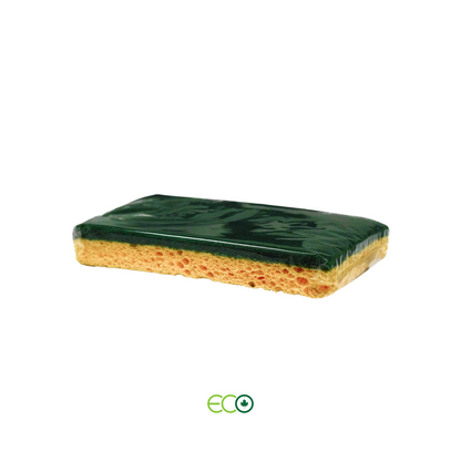 Scrubbing Sponge