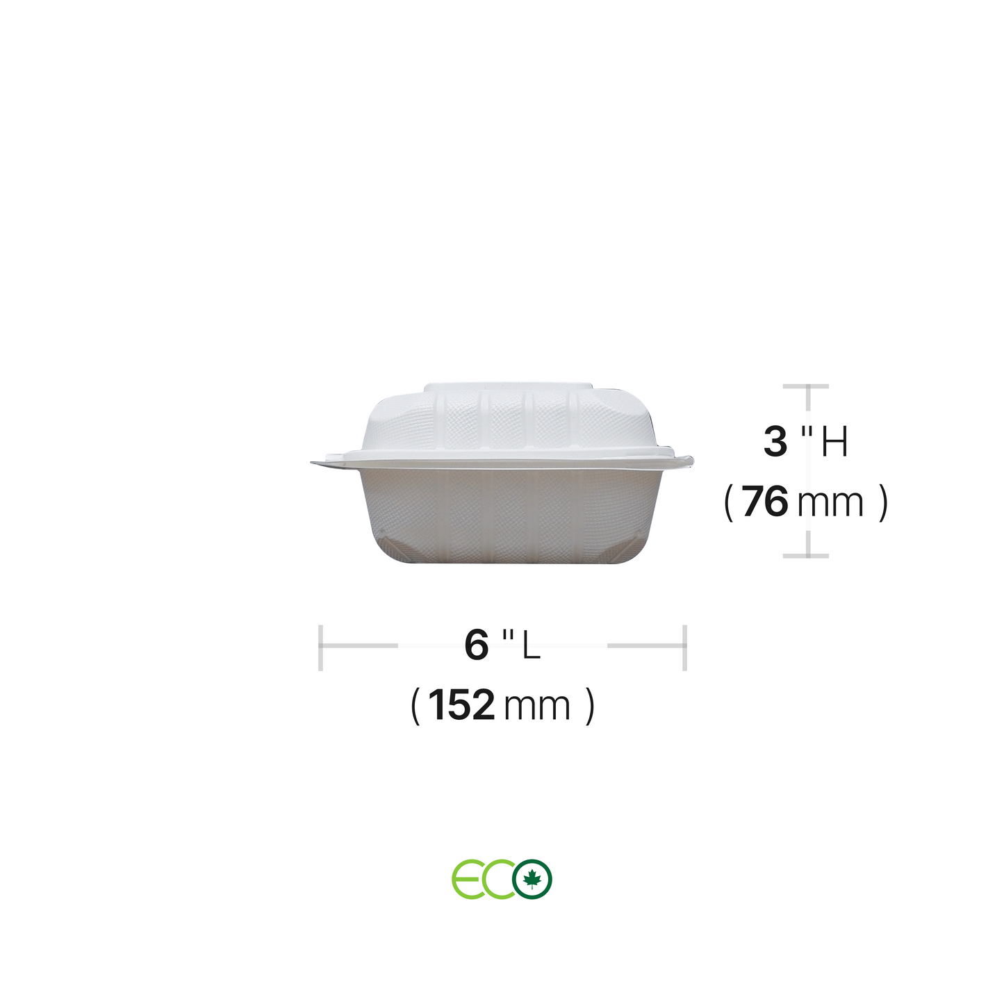 EG Rectangular PP Hinged Container