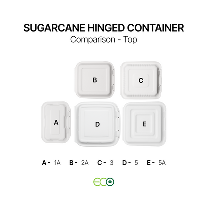 FSTP Sugarcane Hinged Container (5 Sizes)