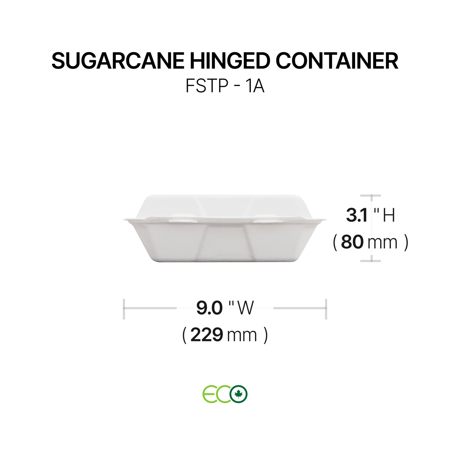 FSTP Sugarcane Hinged Container (5 Sizes)