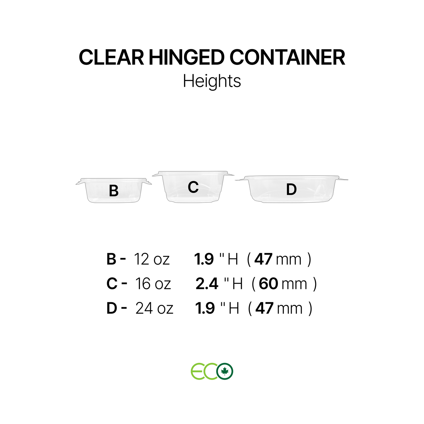 Hinged Container with Lock (6 Options)