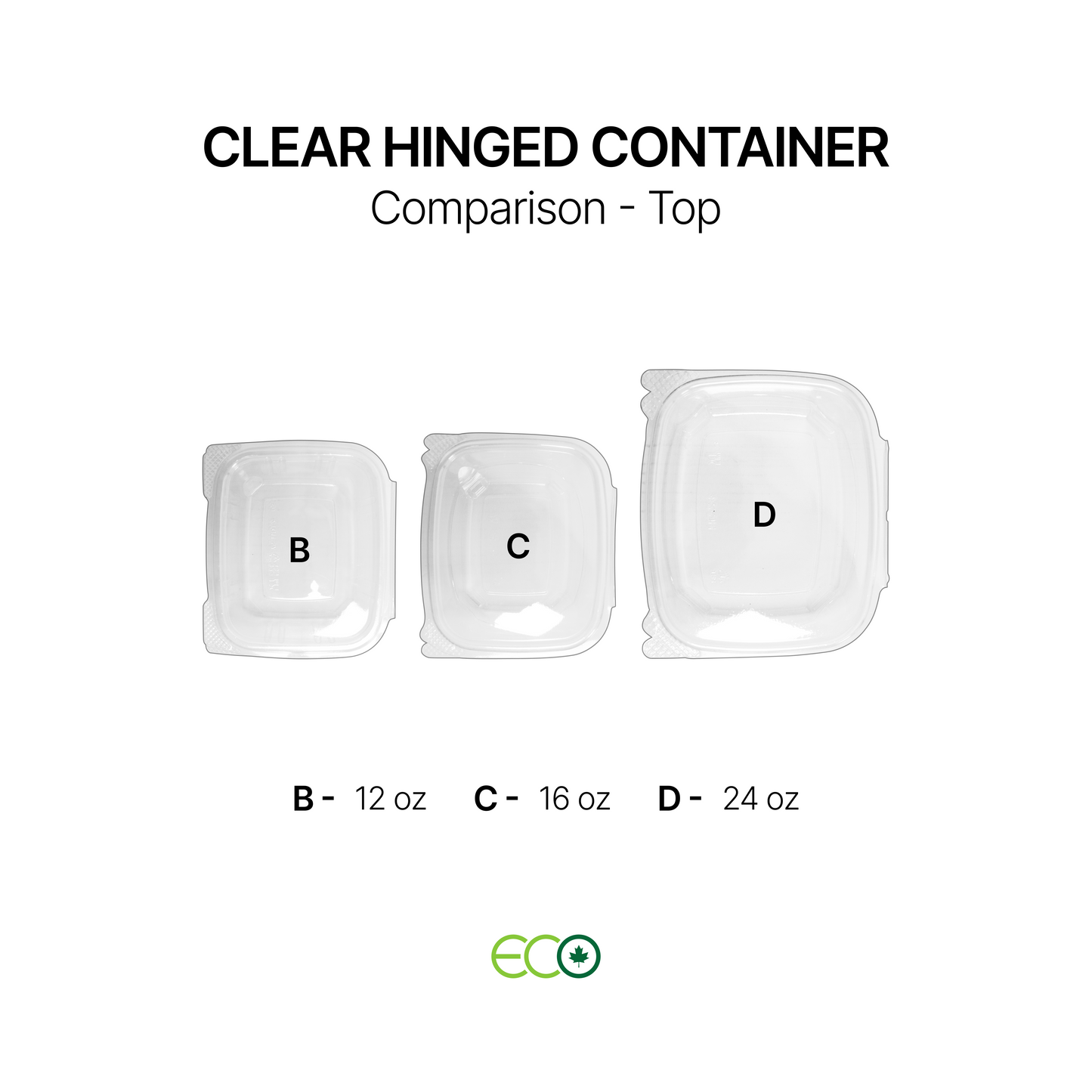 Hinged Container with Lock (6 Options)