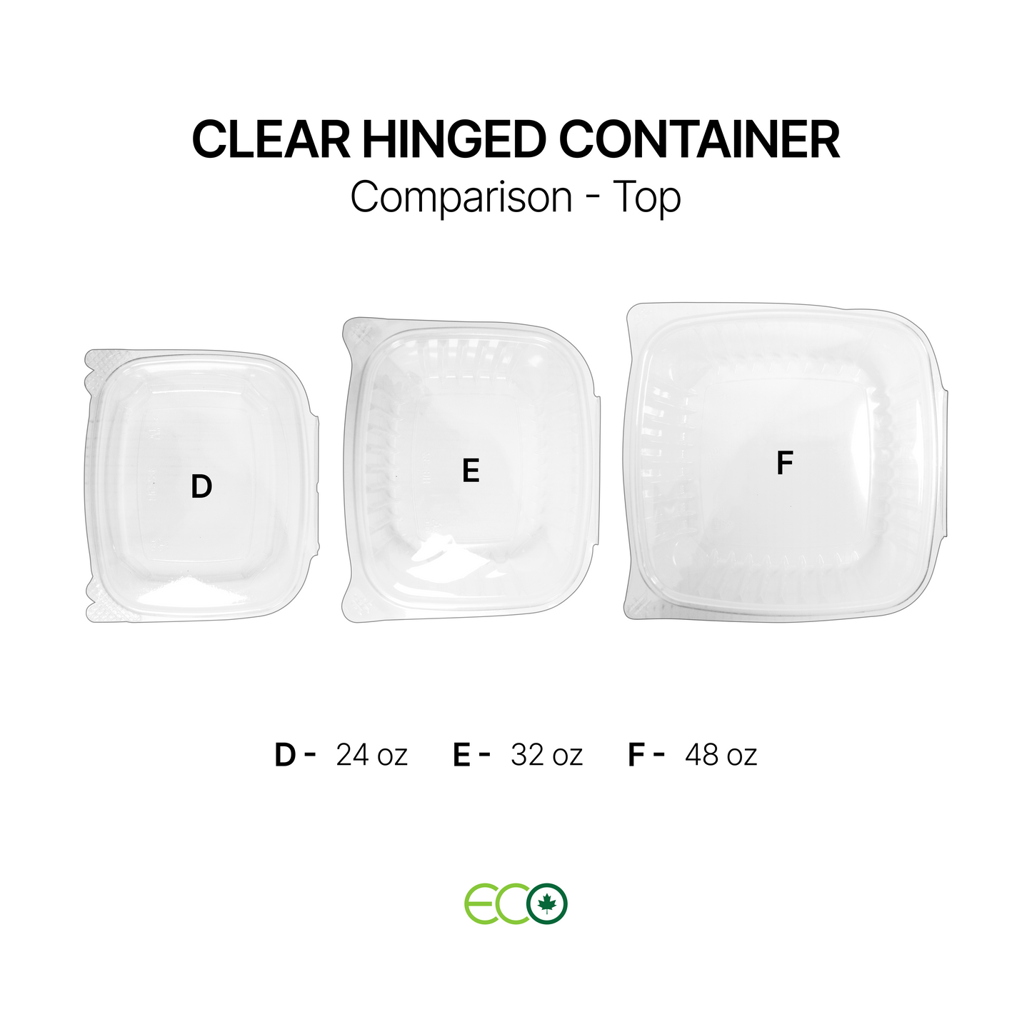 Hinged Container with Lock (6 Options)
