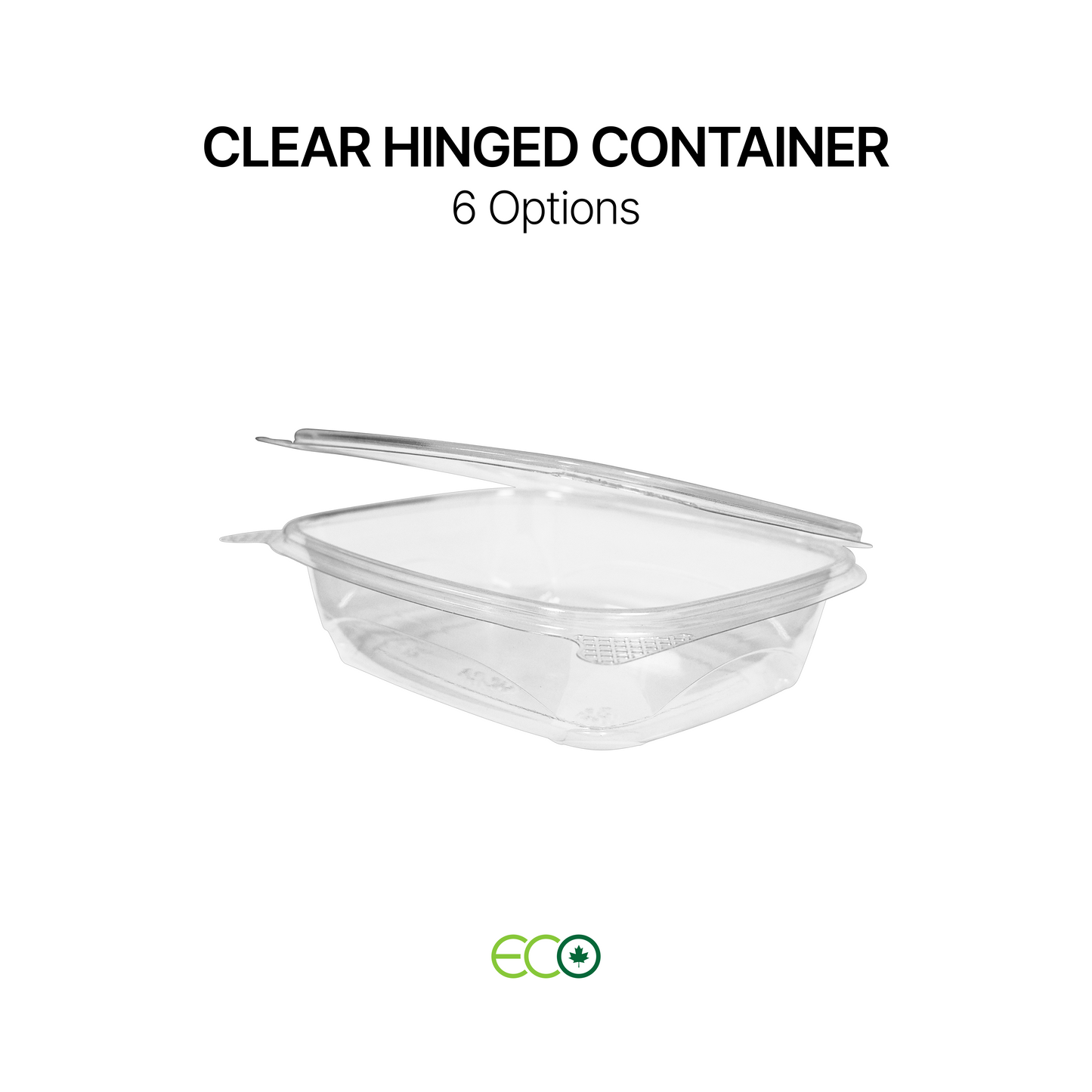 Hinged Container with Lock (6 Options)