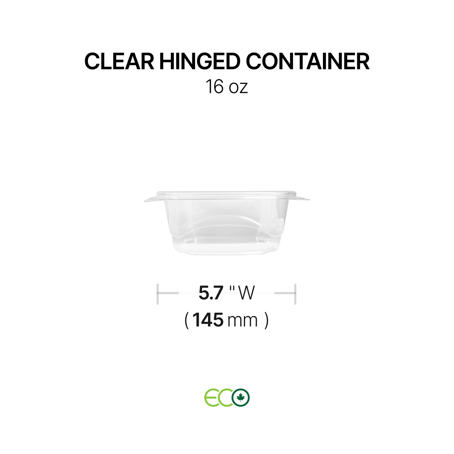 Hinged Container with Lock (6 Options)