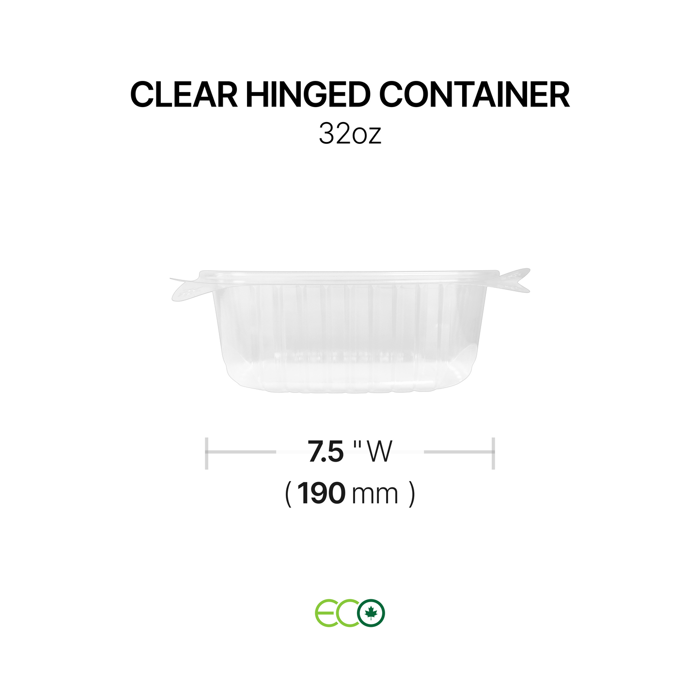 Hinged Container with Lock (6 Options)