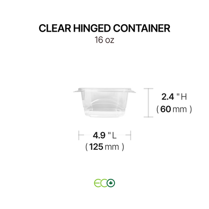Hinged Container with Lock (6 Options)