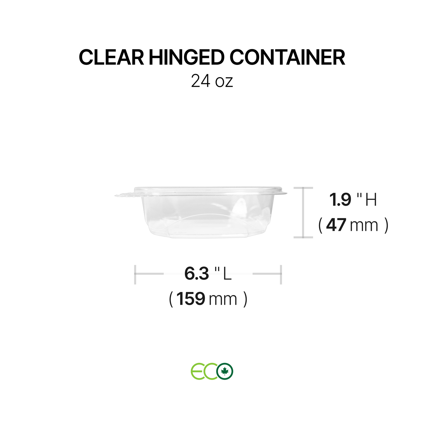 Hinged Container with Lock (6 Options)