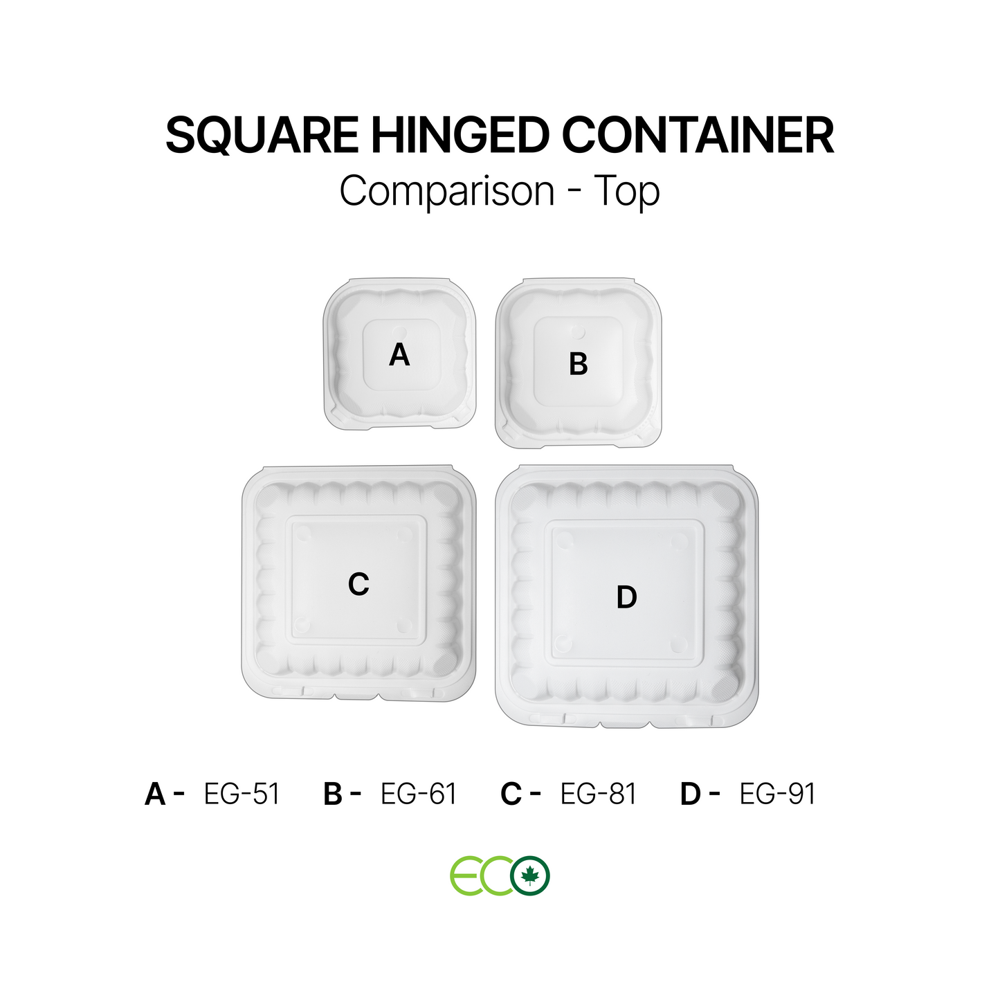EG Square PP Hinged Container (4 Sizes)