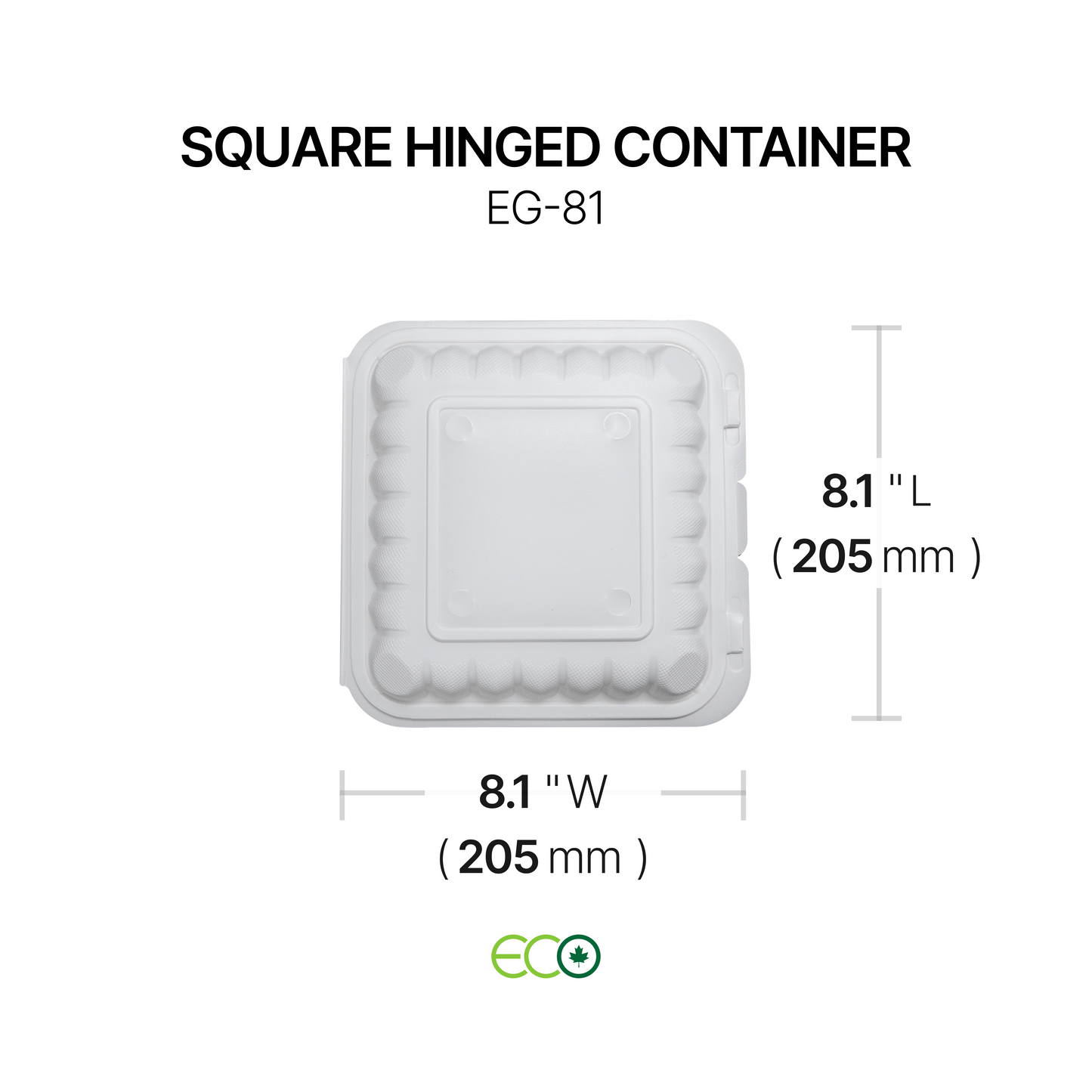 EG Square PP Hinged Container (4 Sizes)