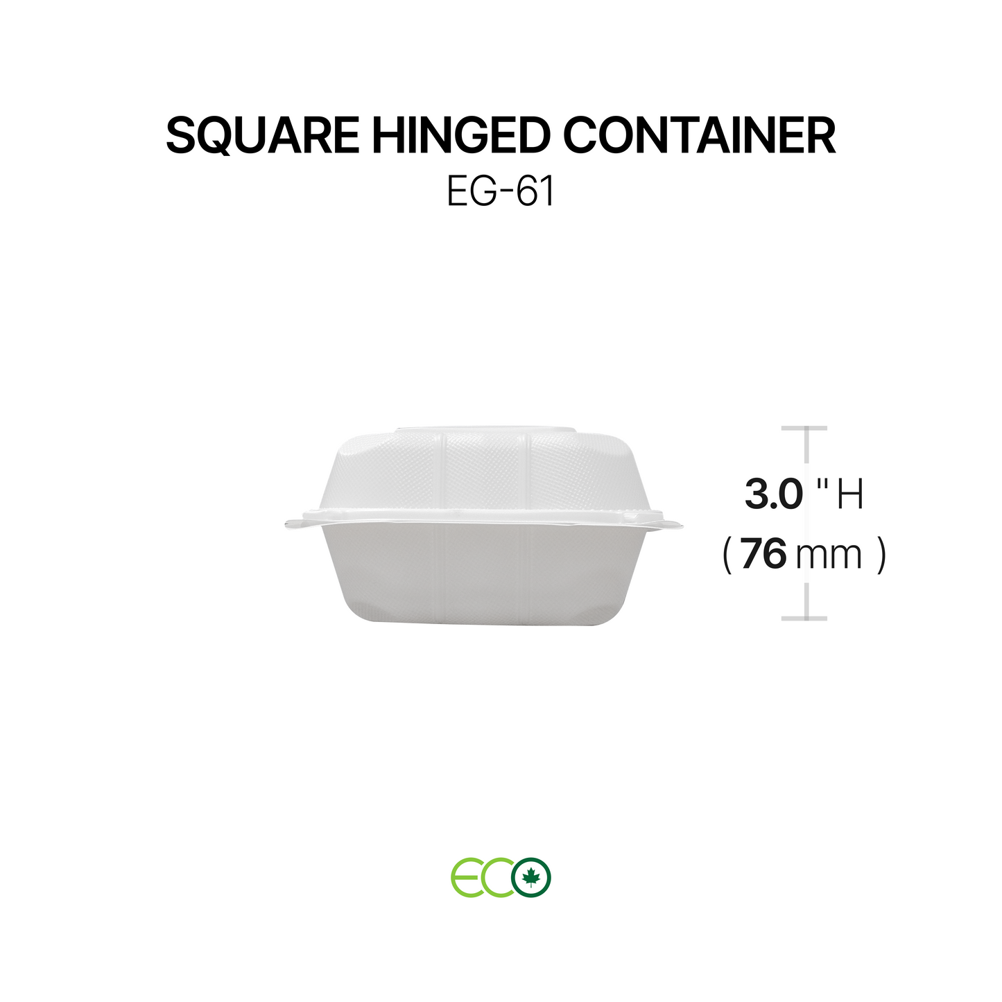 EG Square PP Hinged Container (4 Sizes)