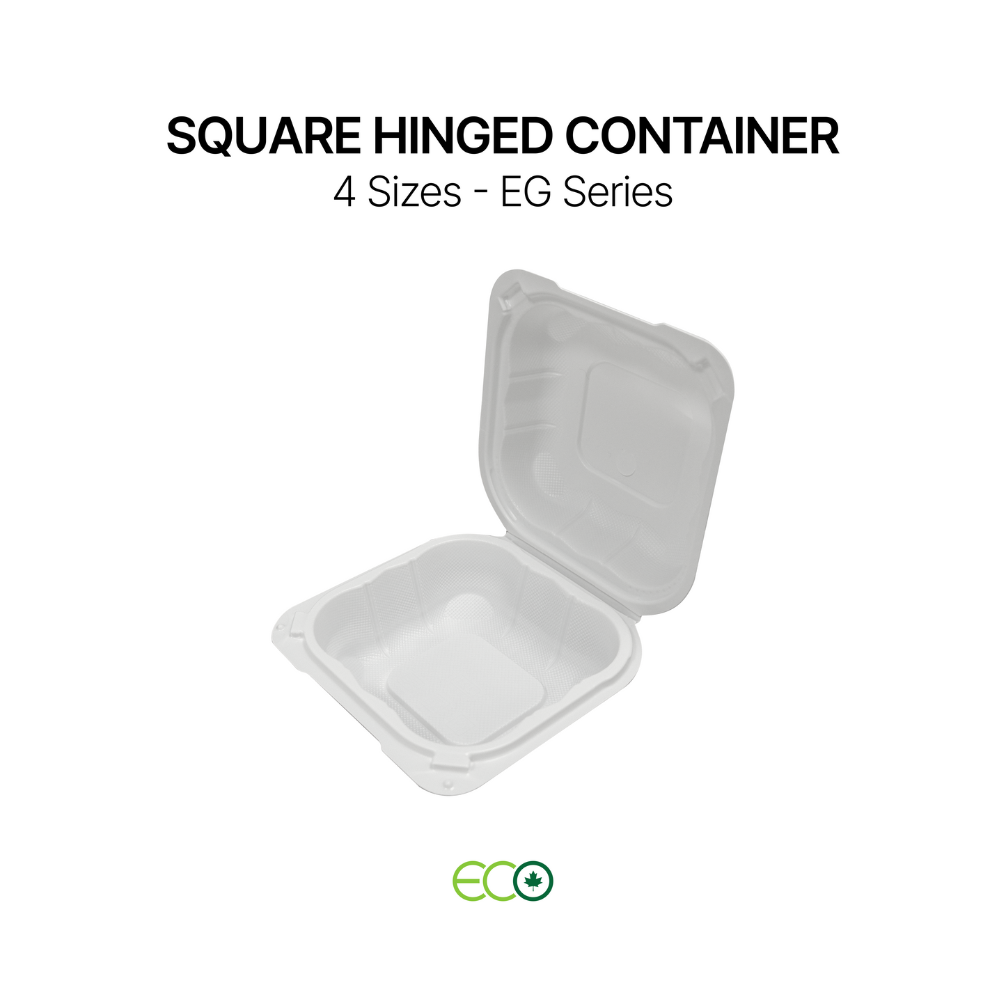 EG Square PP Hinged Container (4 Sizes)