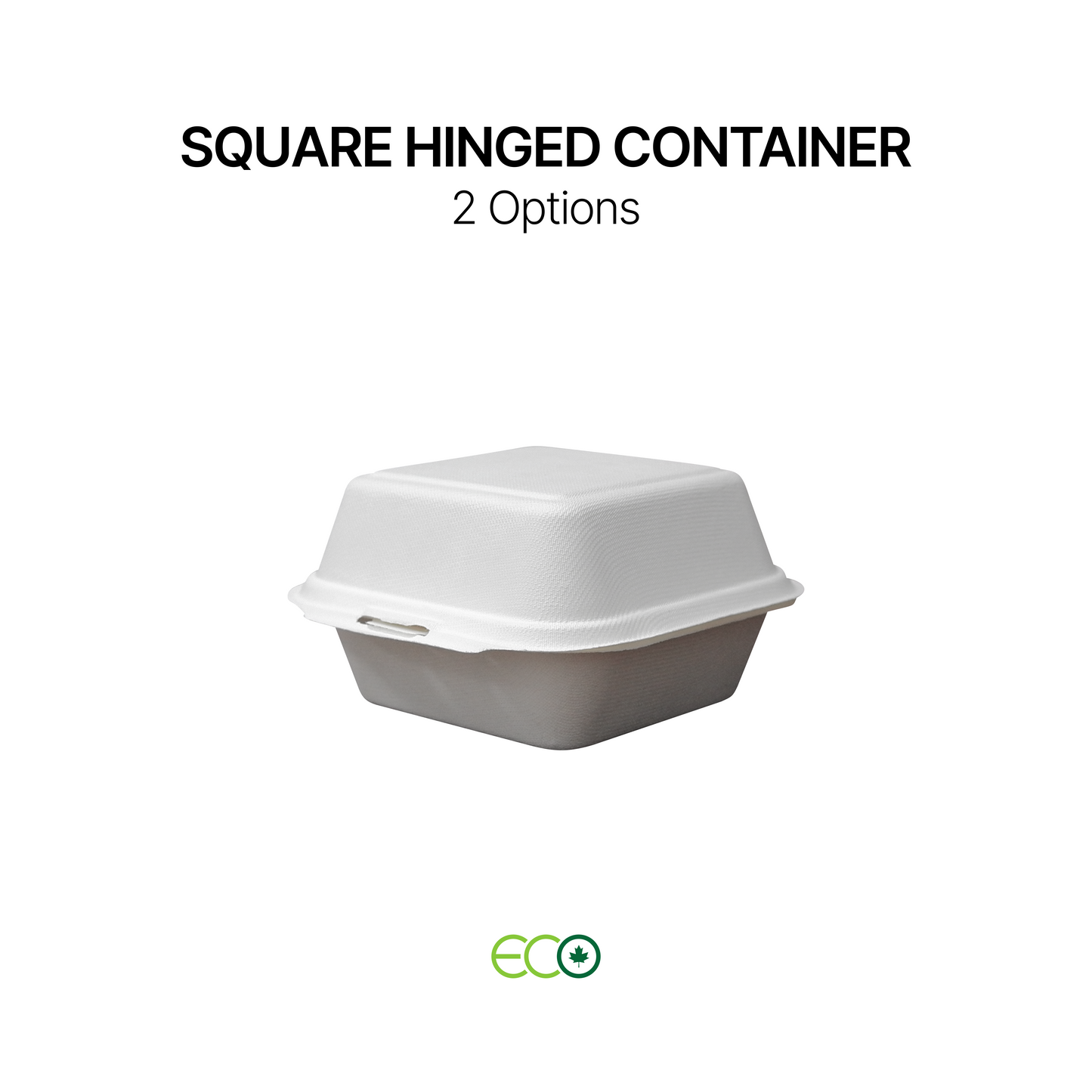 Square Hinged Container (2 Options)