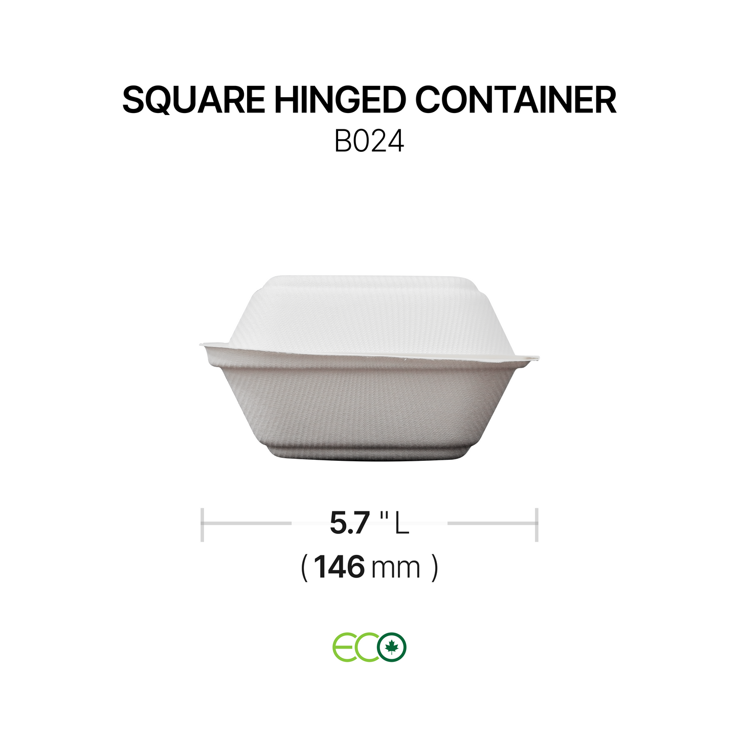 Square Hinged Container (2 Options)