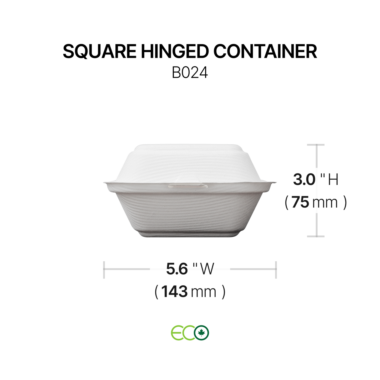 Square Hinged Container (2 Options)