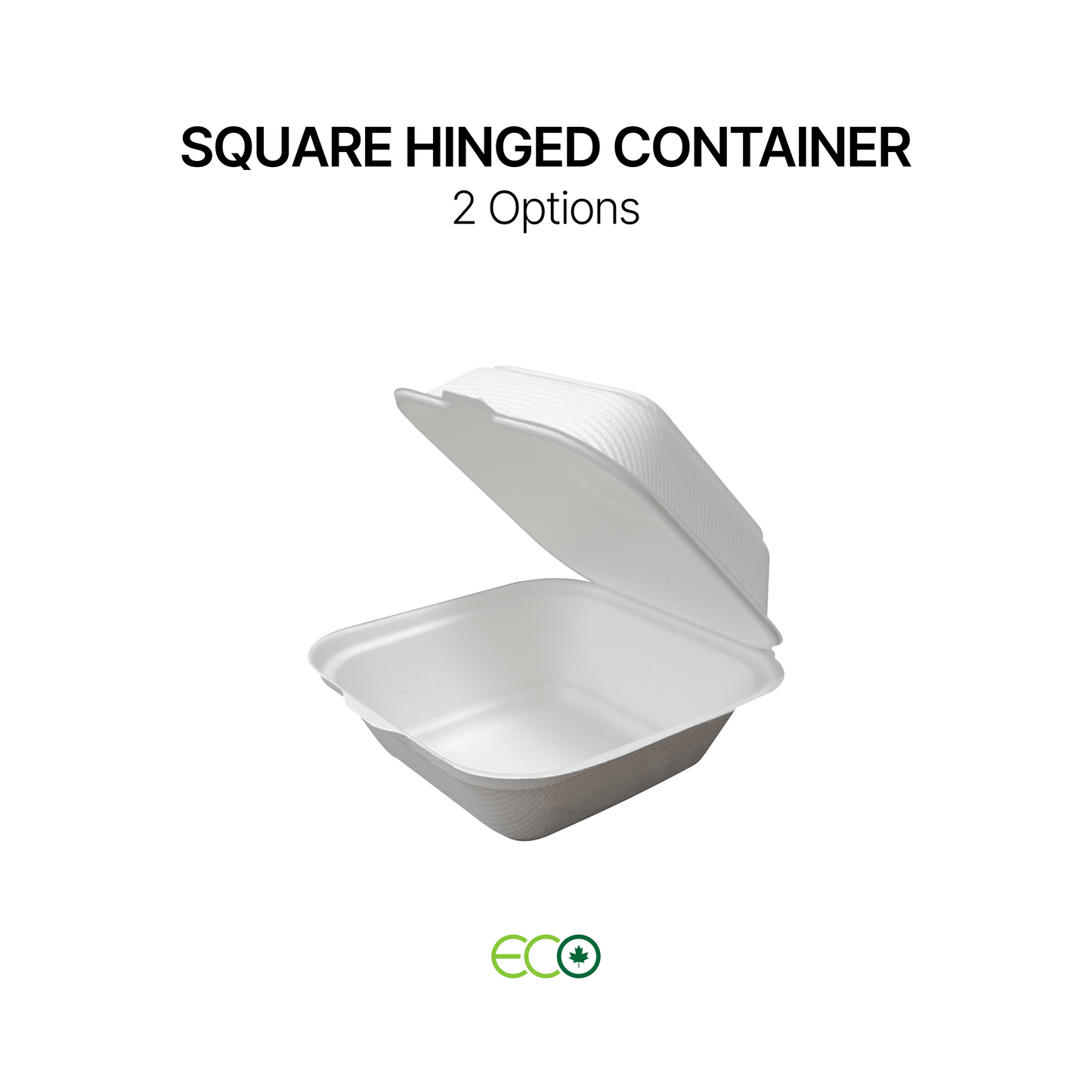 Square Hinged Container (2 Options)