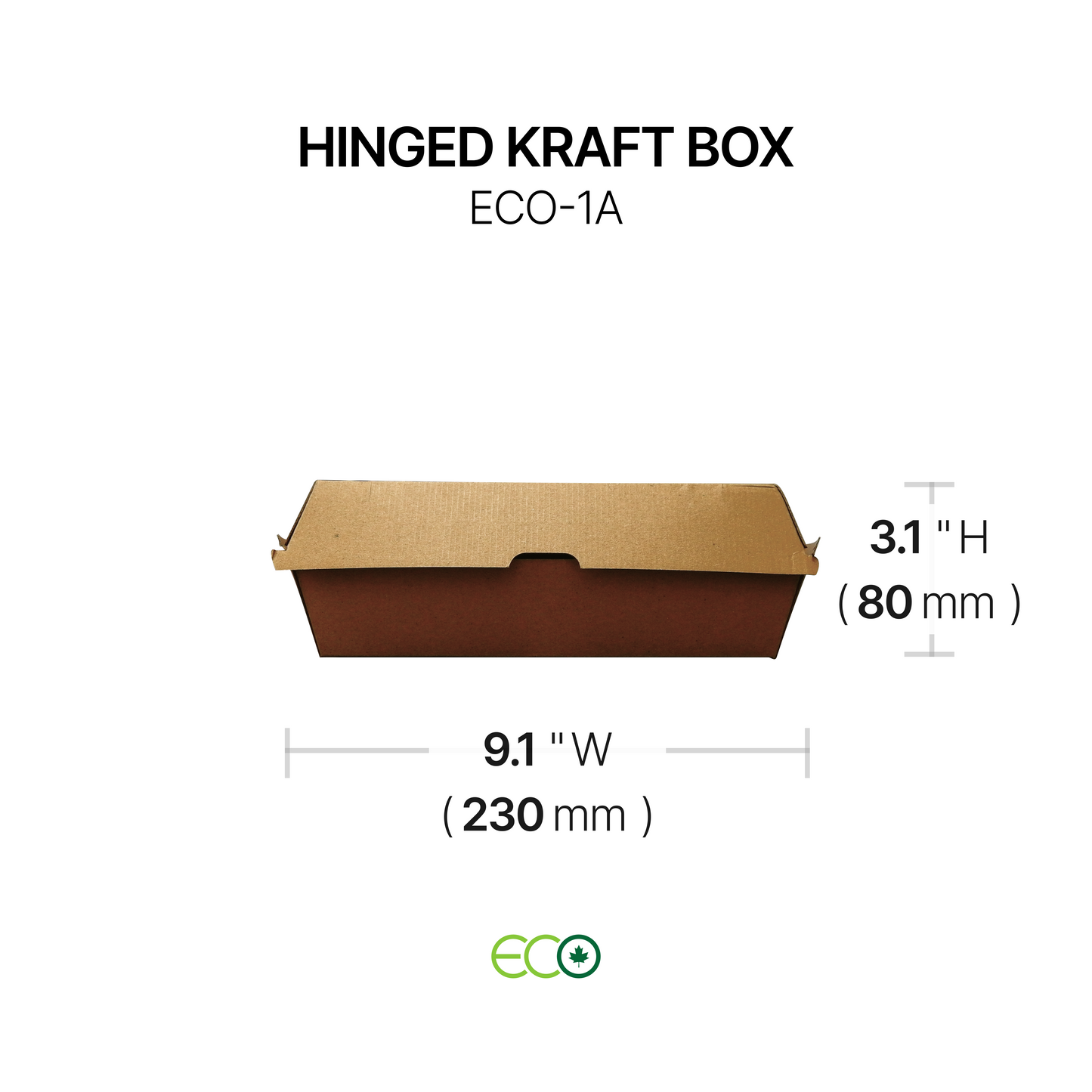 ECO Hinged Kraft Box (4 Sizes)
