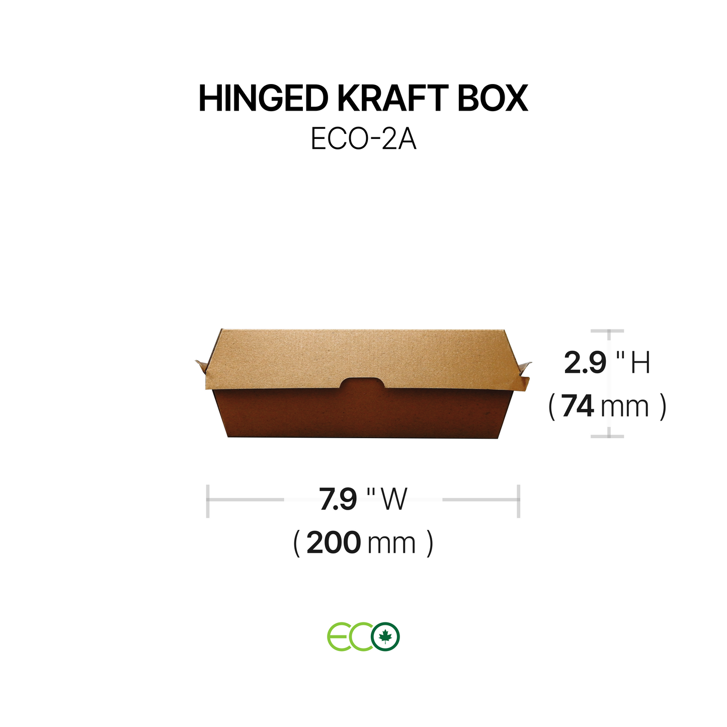 ECO Hinged Kraft Box (4 Sizes)