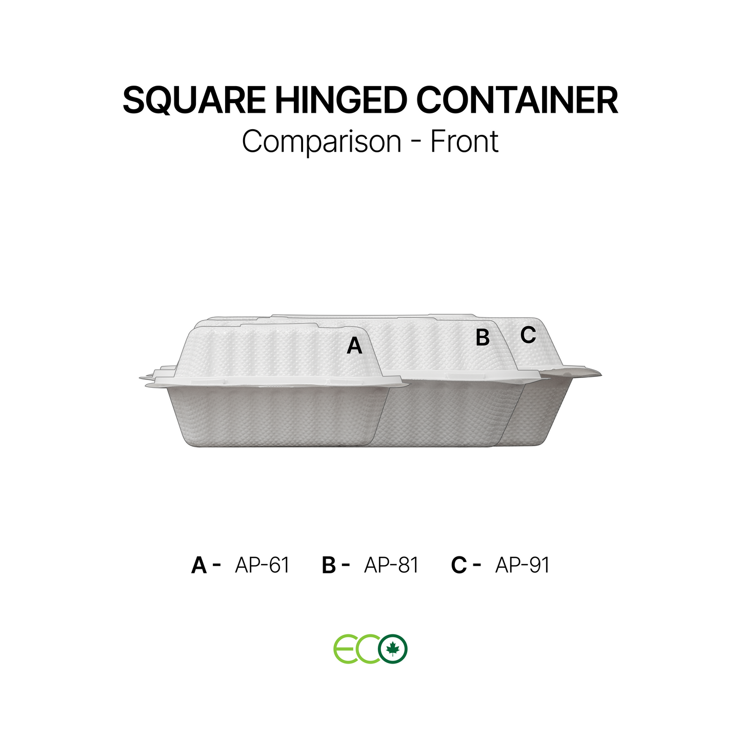 AP Square Hinged Container (6" / 8" / 9")